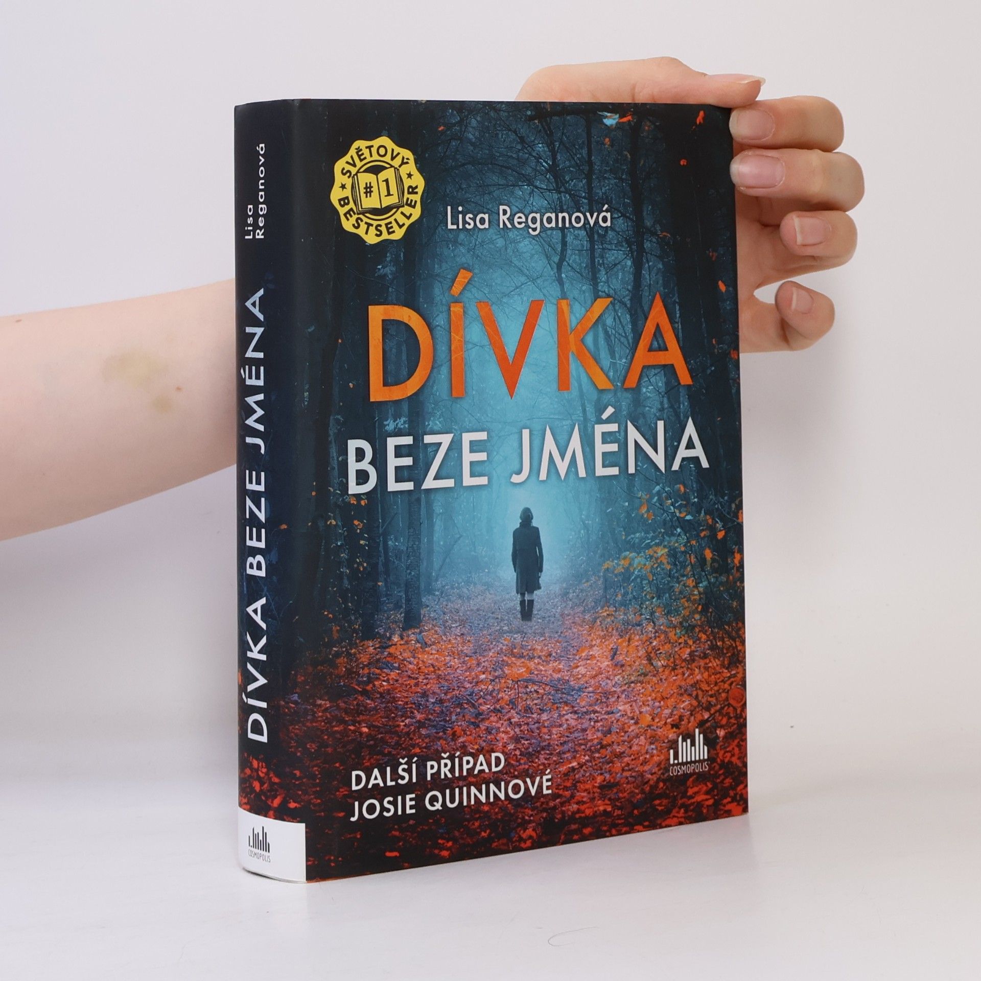 Lisa Regan Dívka beze jména: Další případ Josie Quinnové