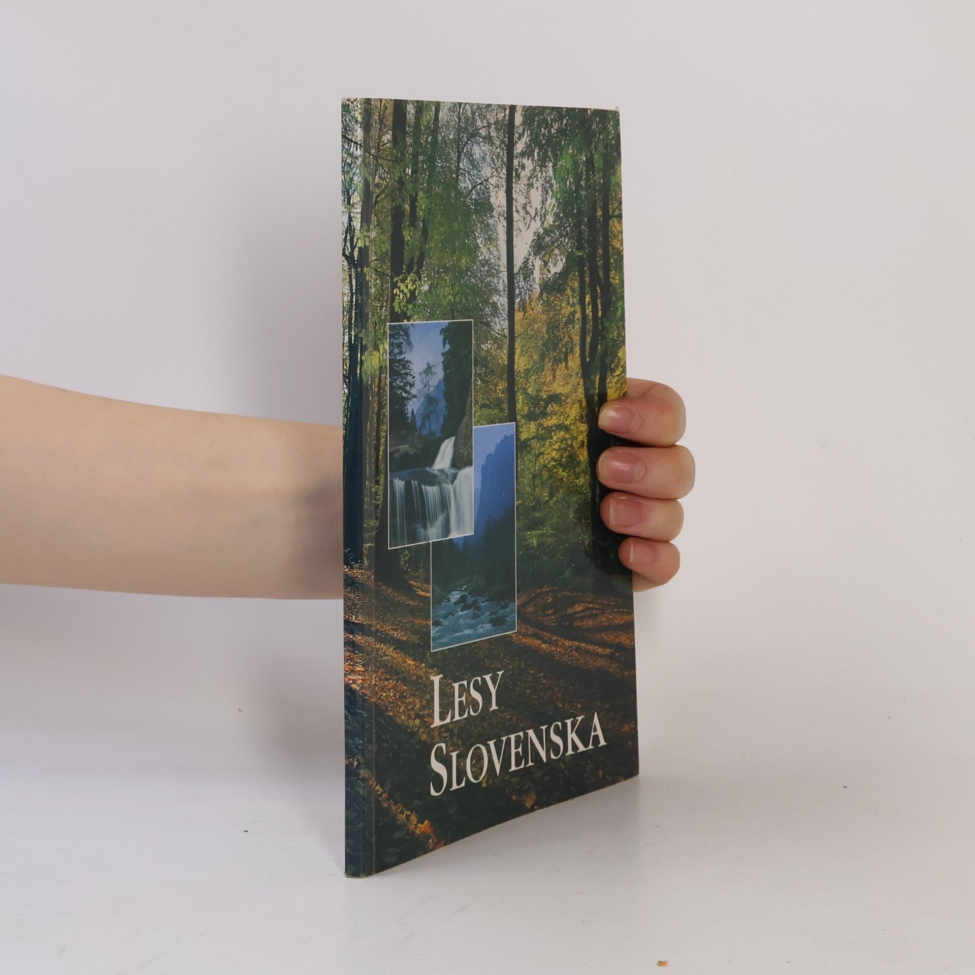 Autorenkollektiv Lesy Slovenska