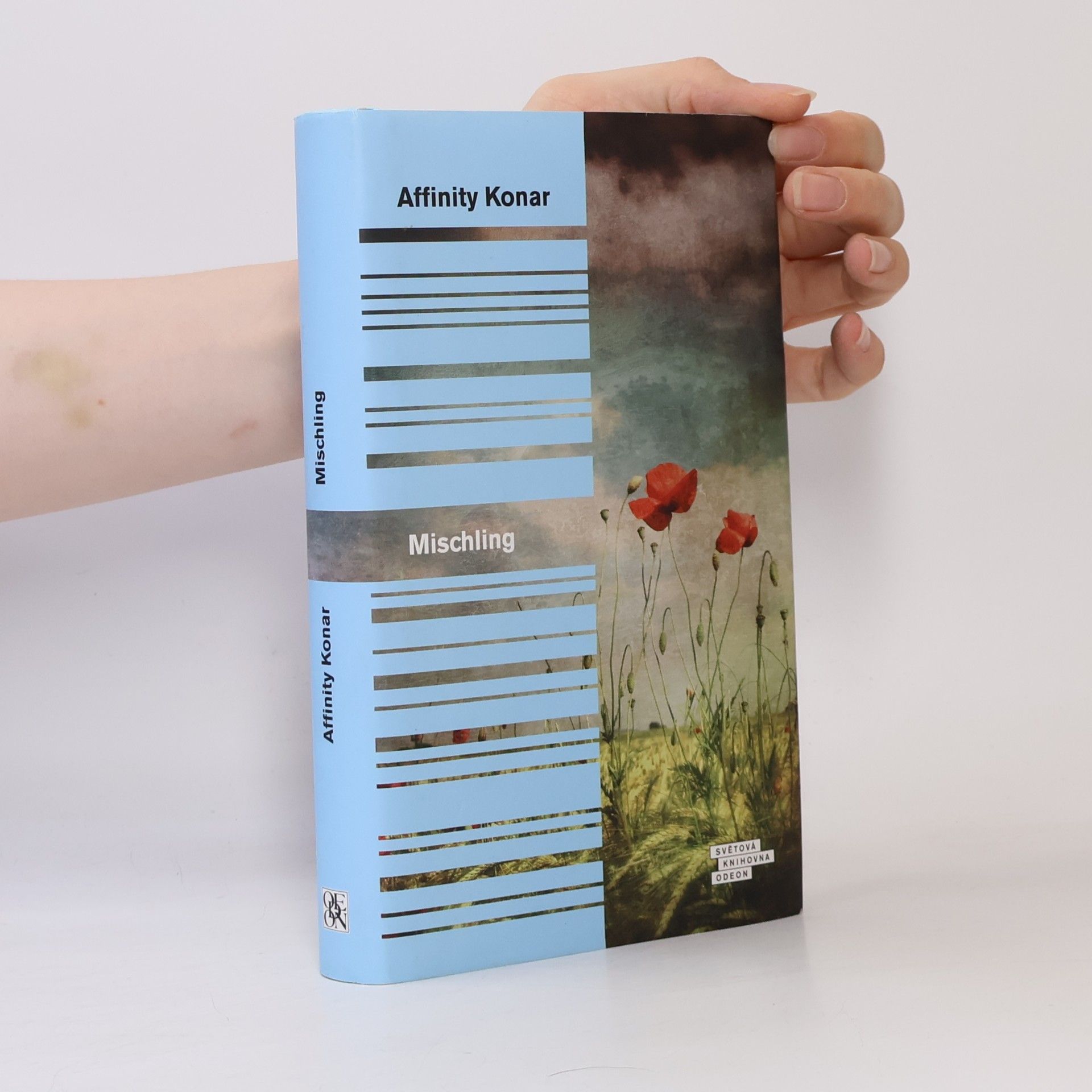 Affinity Konar Mischling