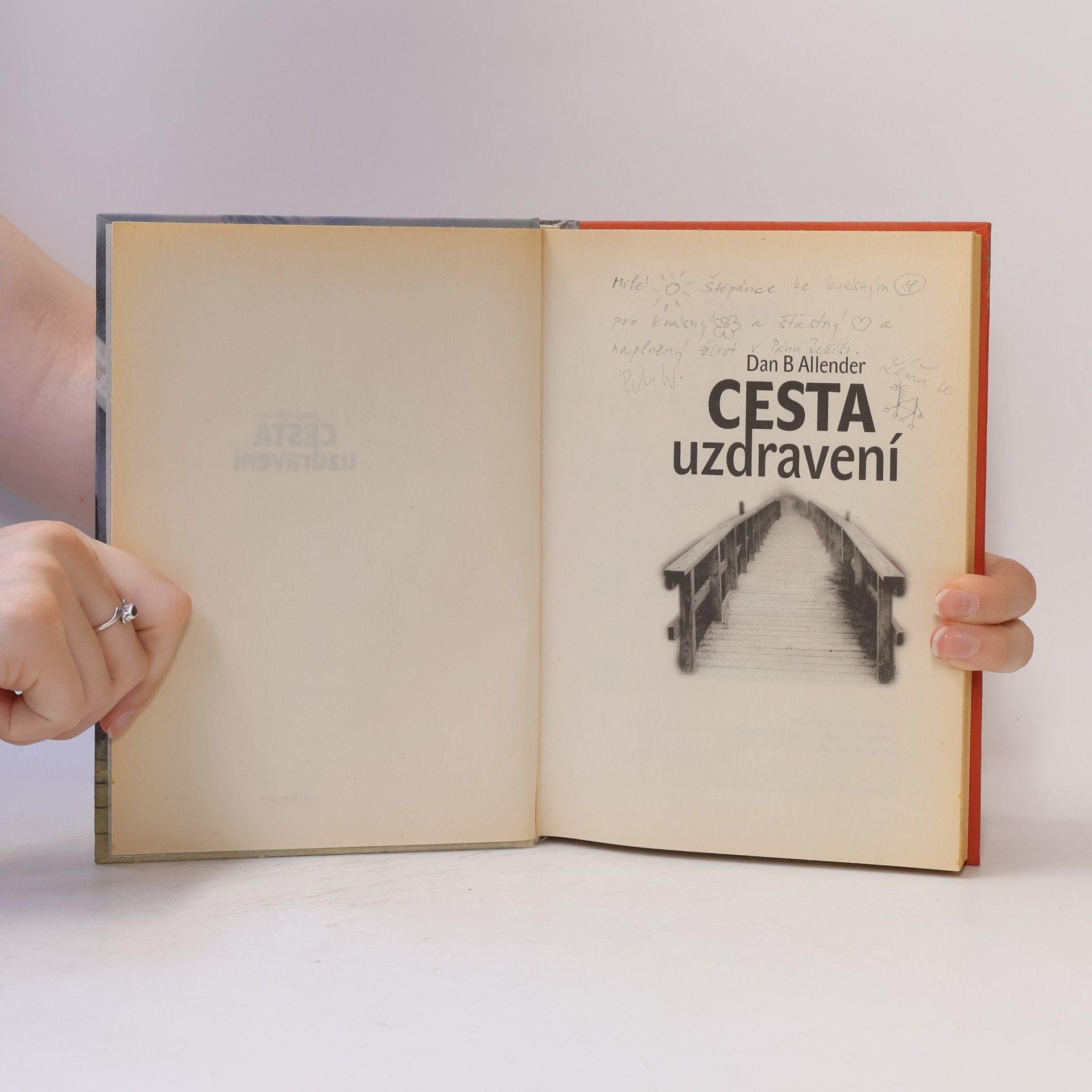 Dan B. Allender Cesta uzdravení