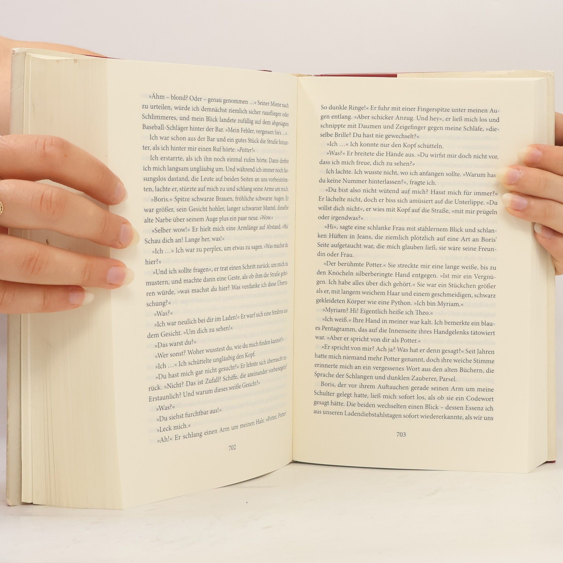 Donna Tartt Der Distelfink