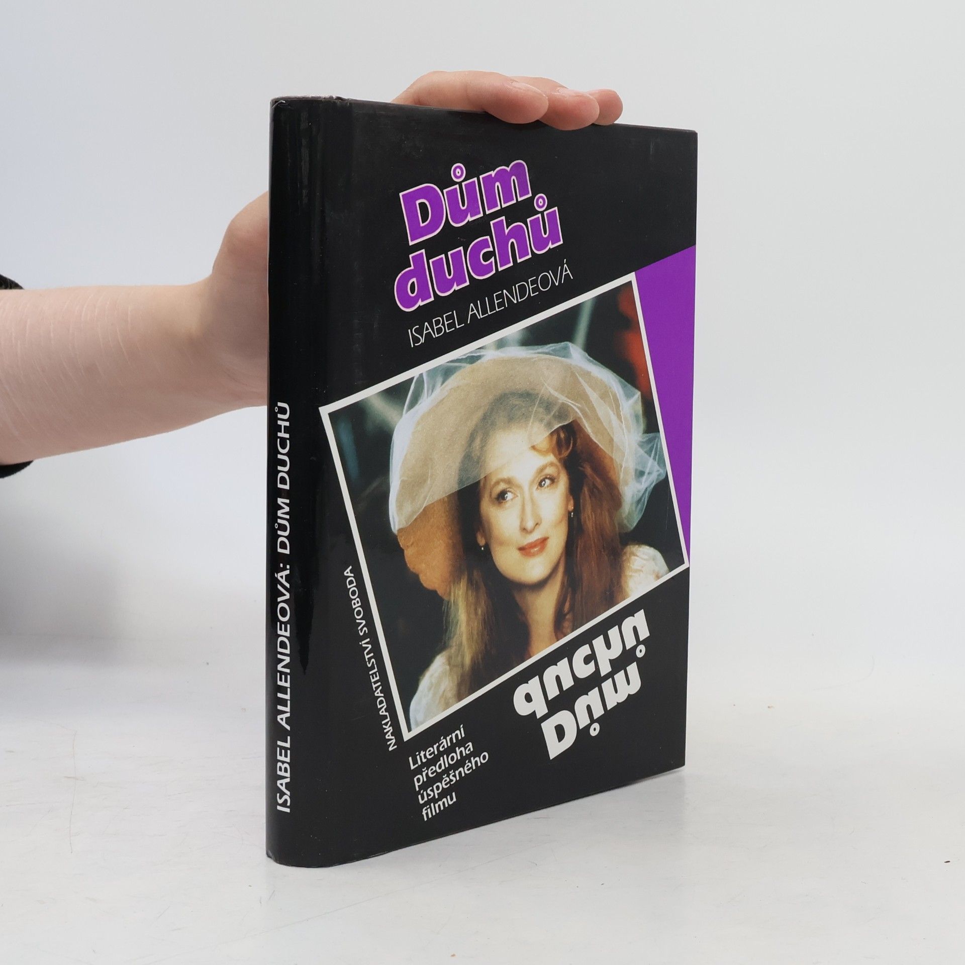 Isabel Allende Dům duchů