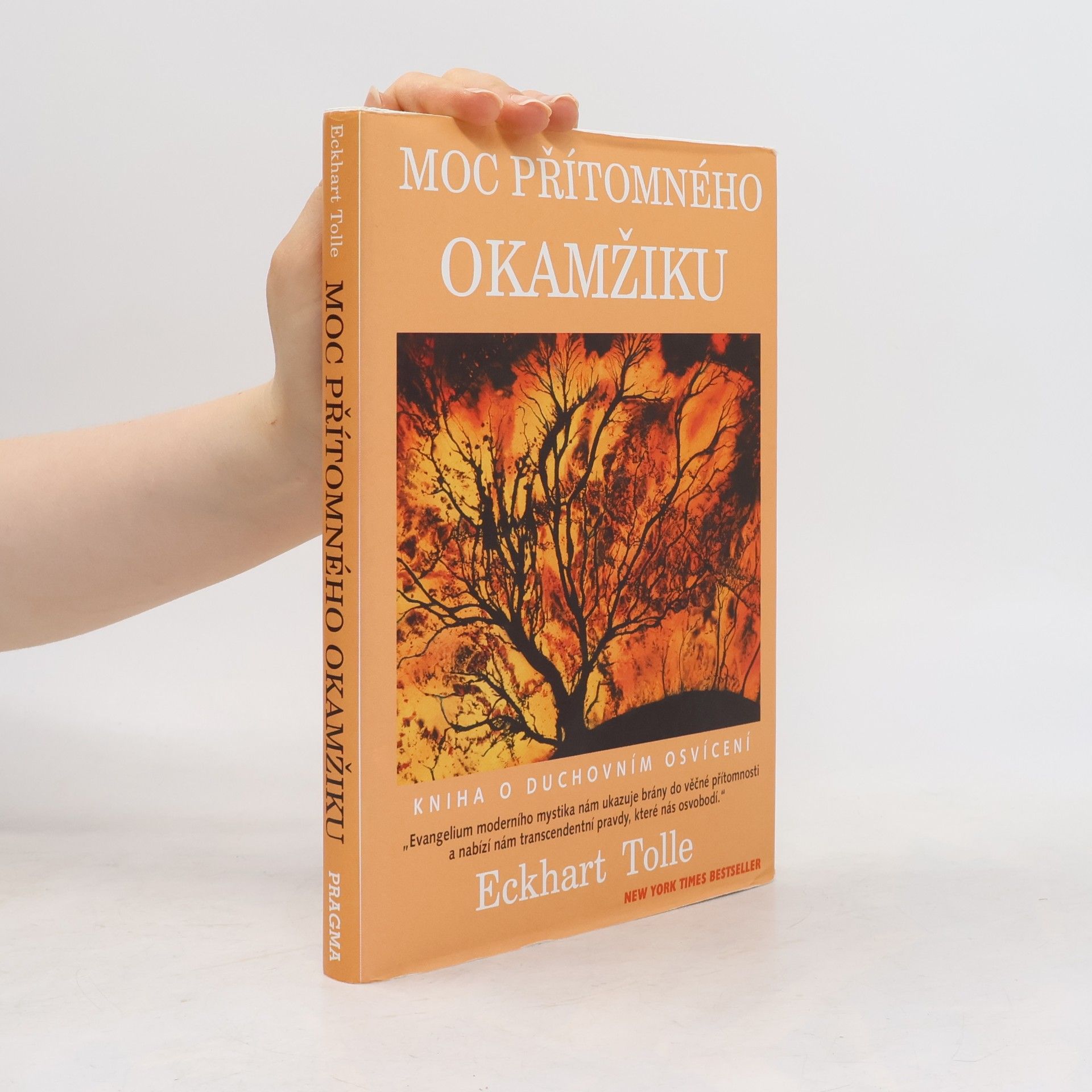 Eckhart Tolle Moc přítomného okamžiku