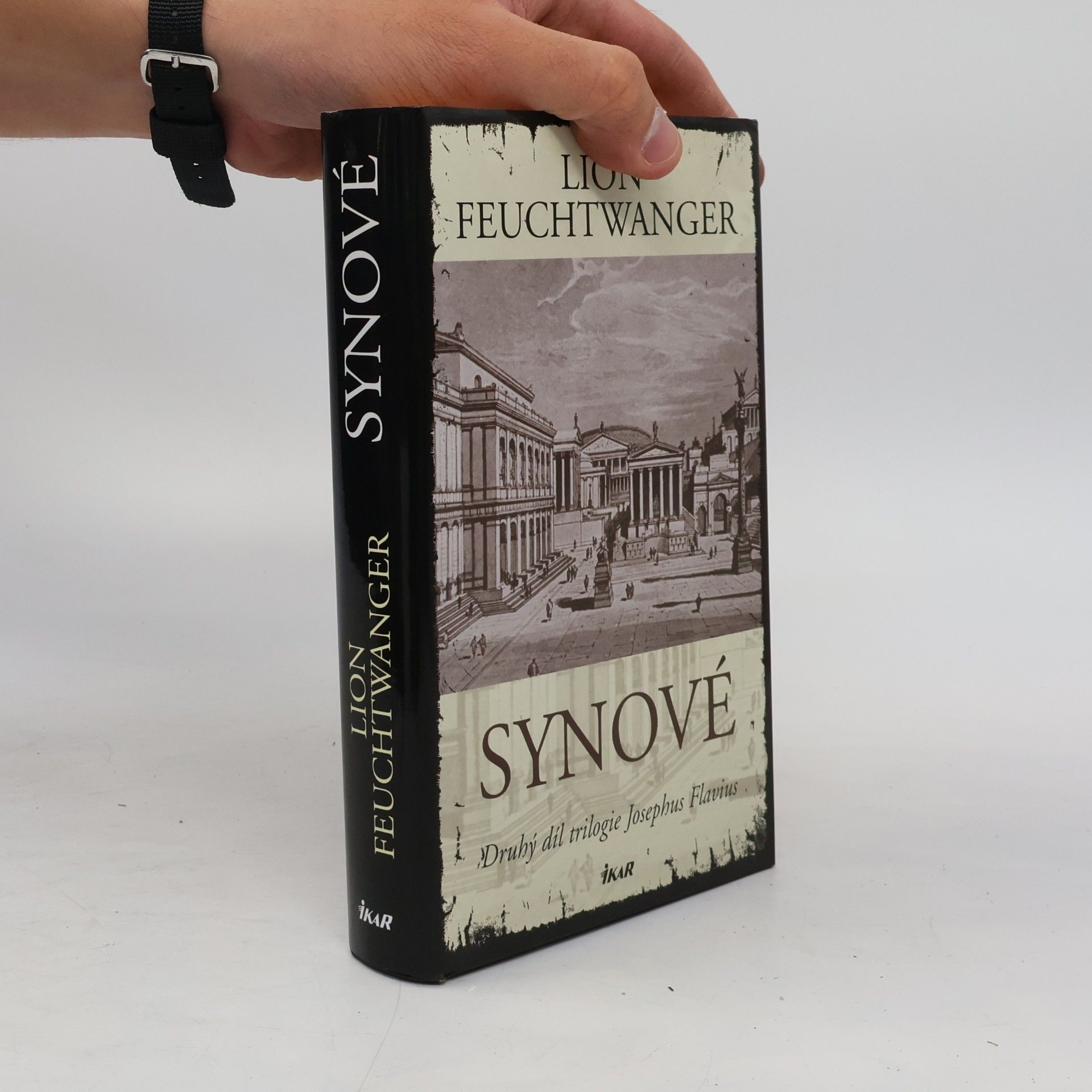 Lion Feuchtwanger Synové : druhý díl trilogie Josephus Flavius