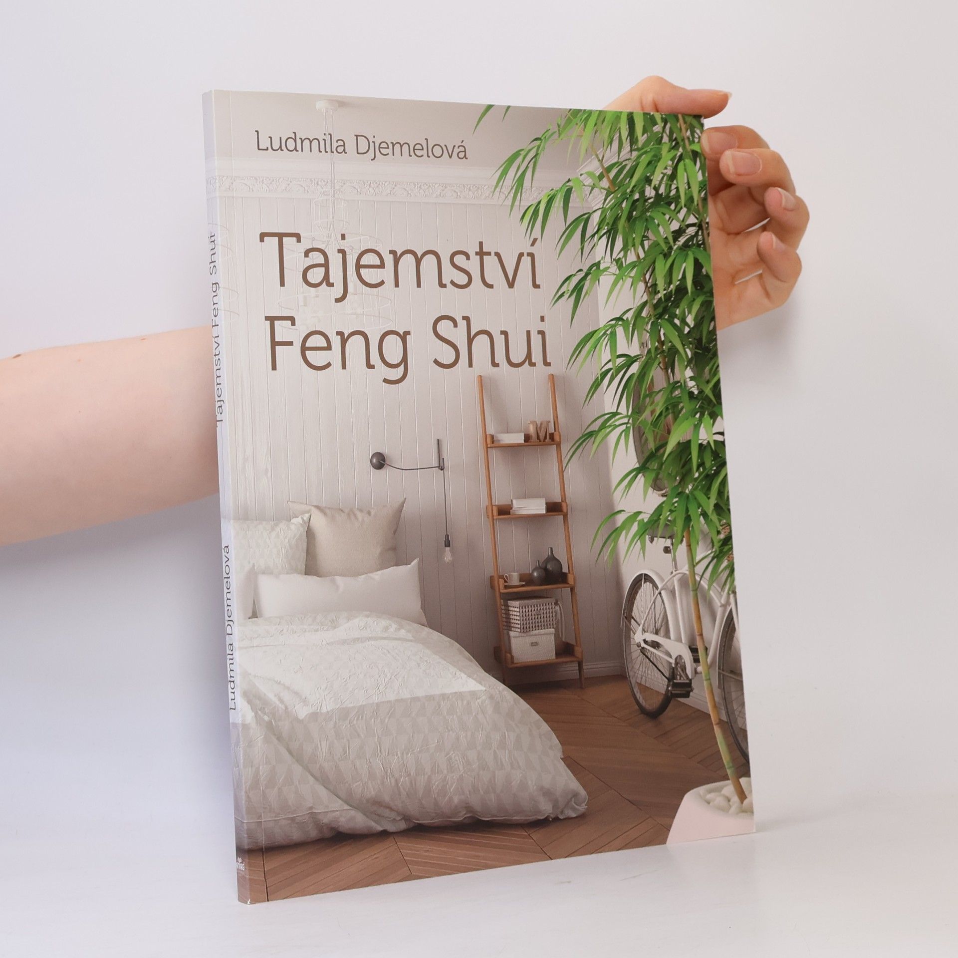 Ludmila Djemelová Tajemství Feng Shui