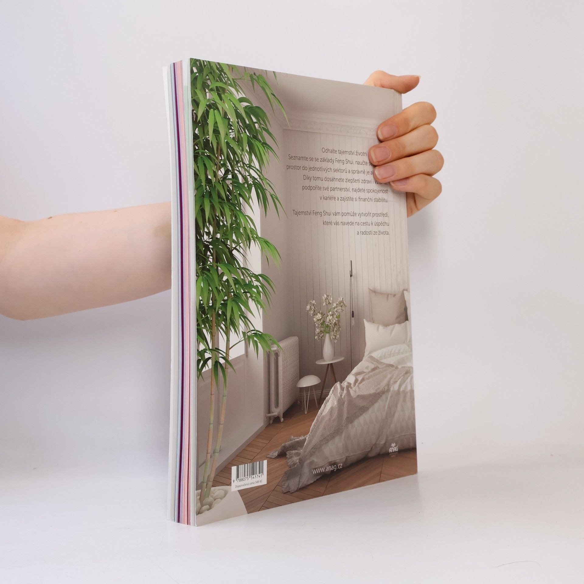 Ludmila Djemelová Tajemství Feng Shui