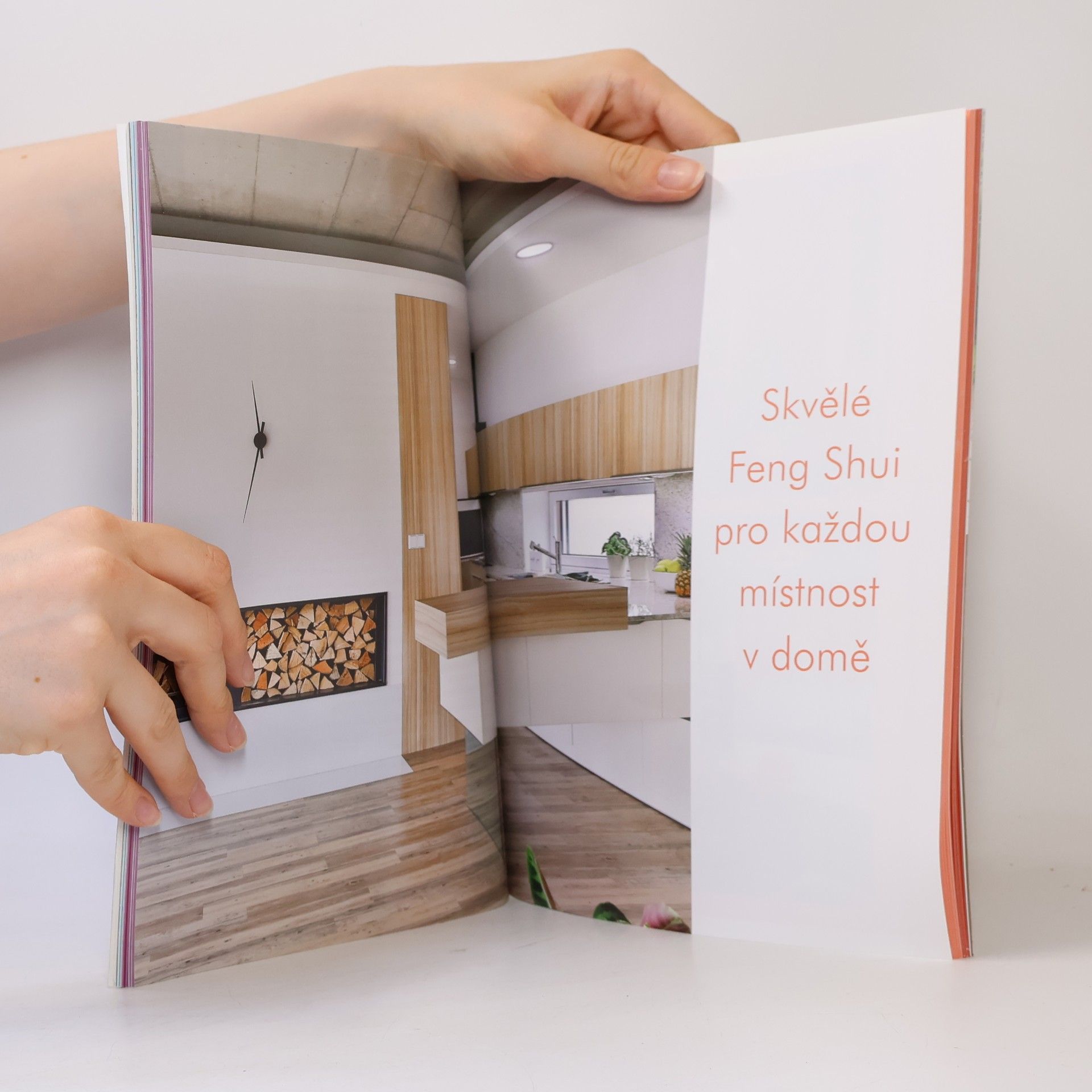 Ludmila Djemelová Tajemství Feng Shui