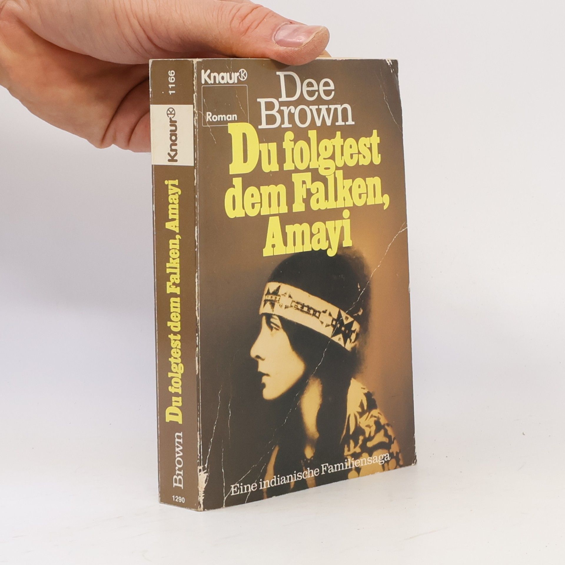 Du folgtest dem Falken, Amayi. Eine indianische Familiensaga