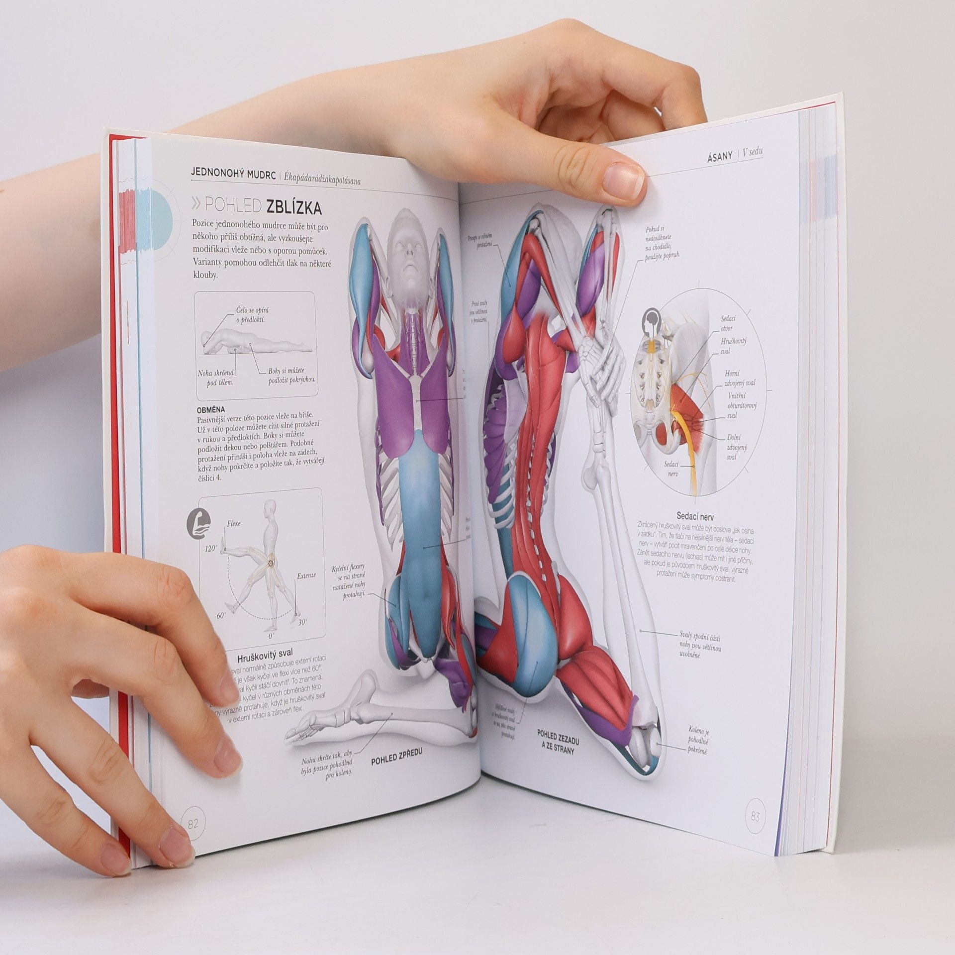 Ann Swanson Jóga z pohledu anatomie