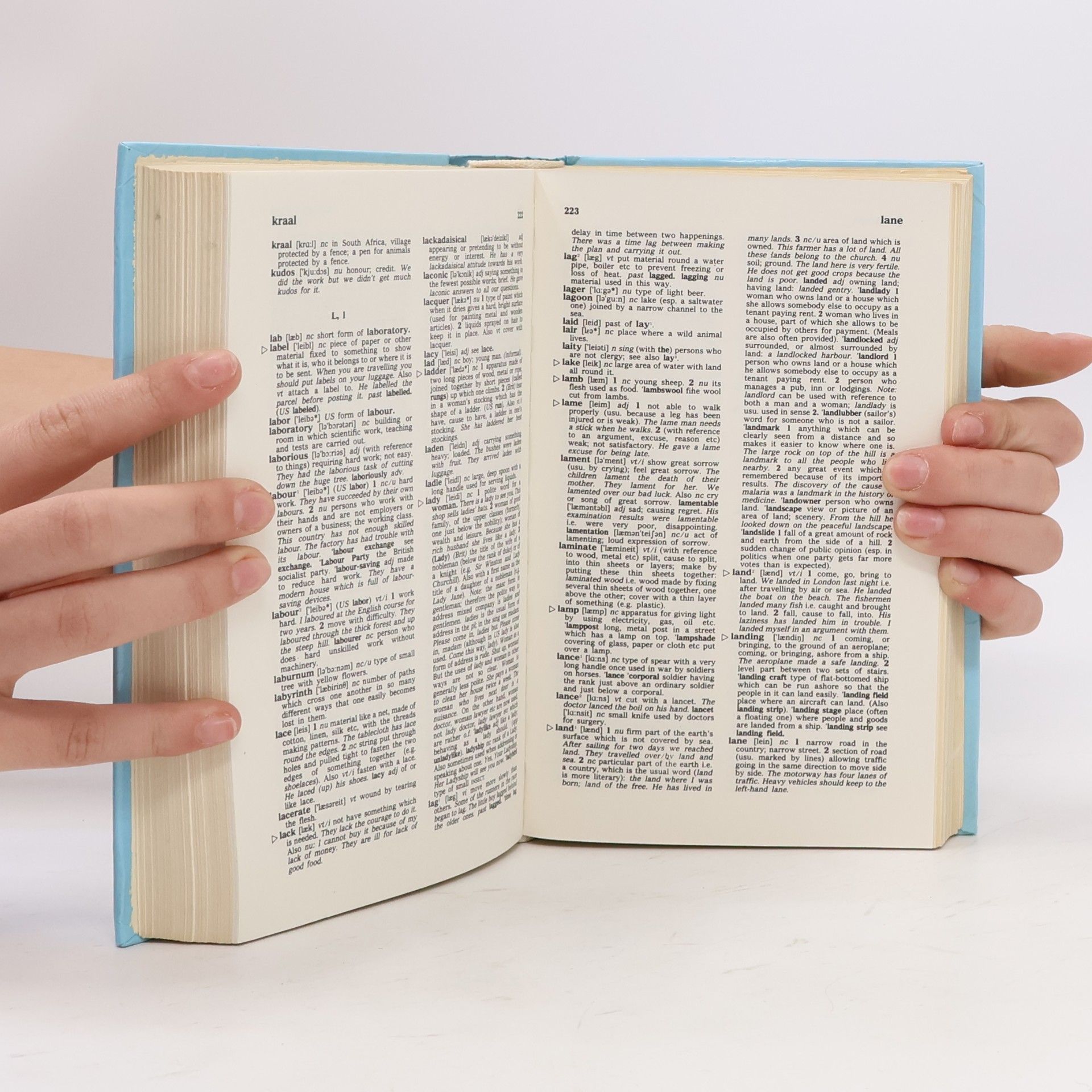 David Carver Collins Junior Dictionary