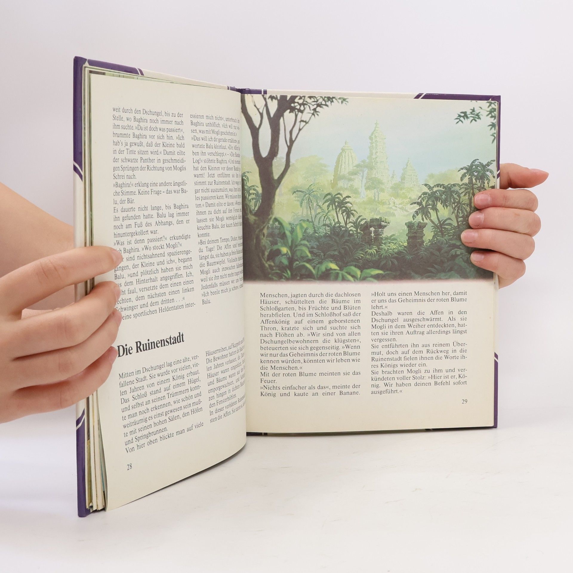 Rudyard Kipling Das Dschungelbuch