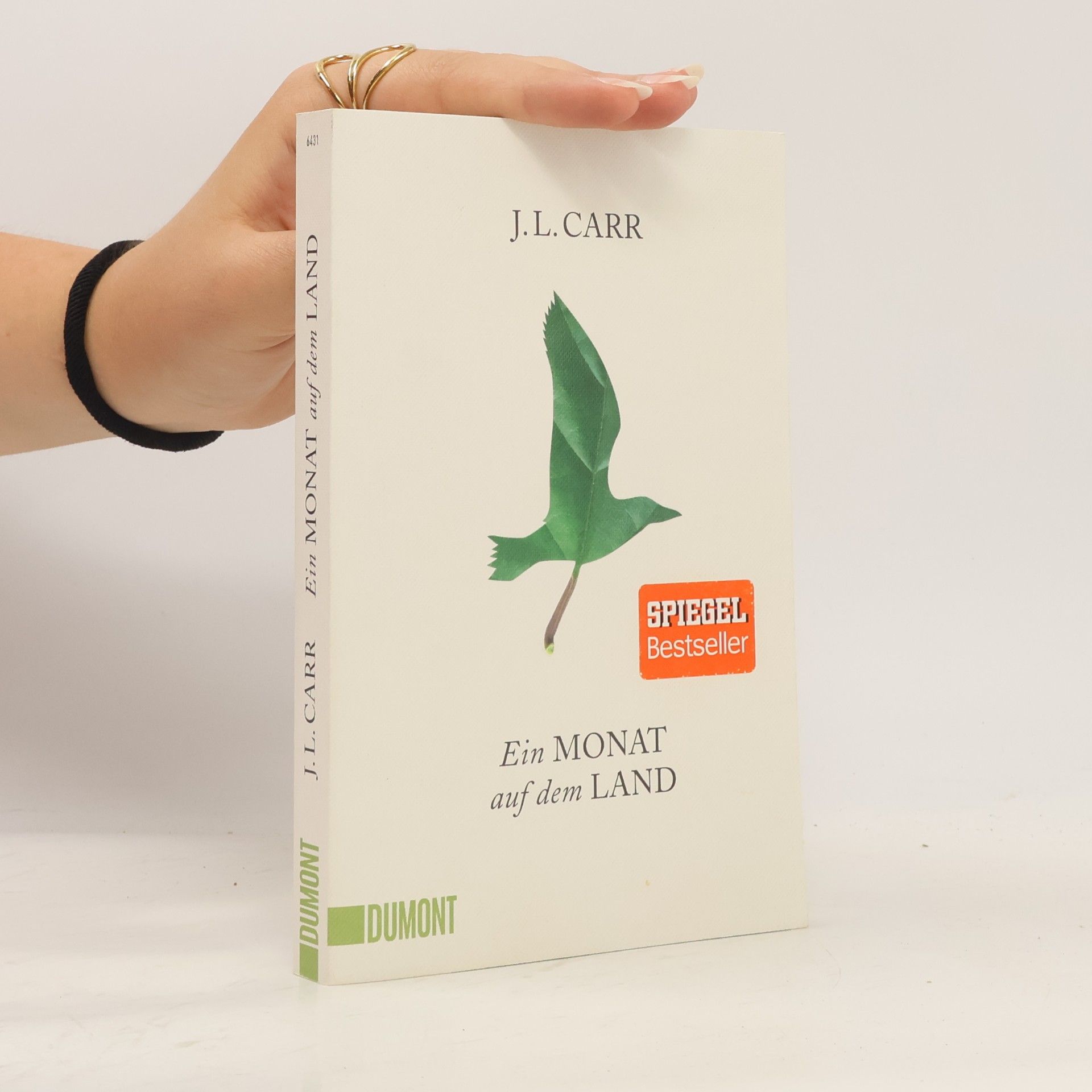 J. L. Carr Ein Monat auf dem Land