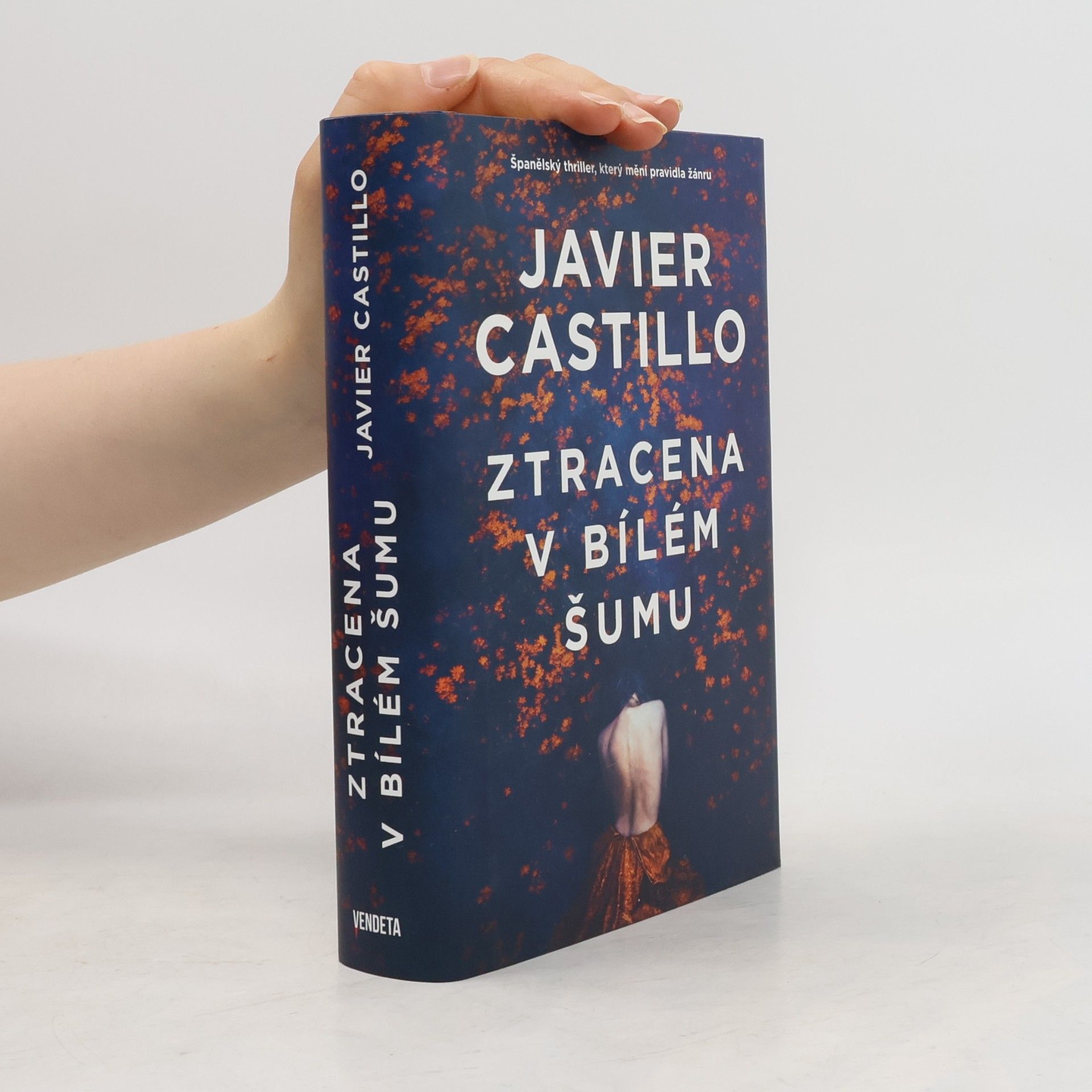 Javier Castillo Ztracena v bílém šumu