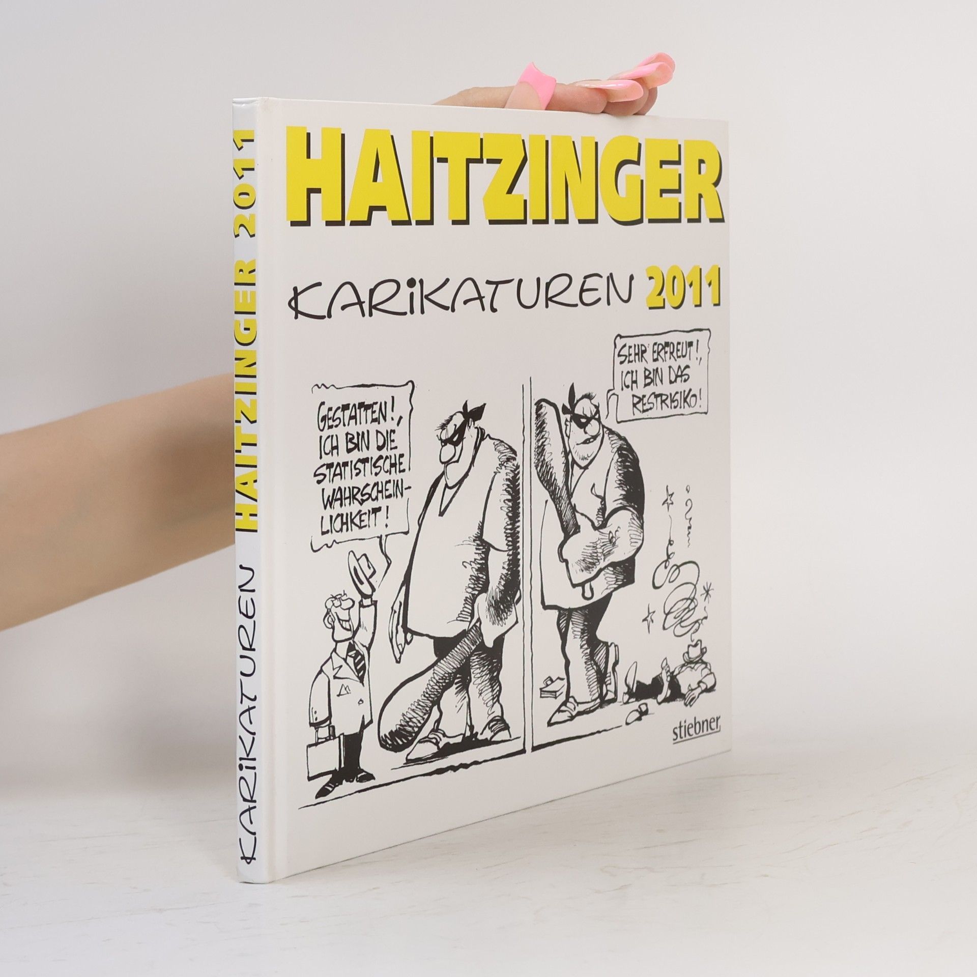 Haitzinger Karikaturen - 2011: Politische Karikaturen