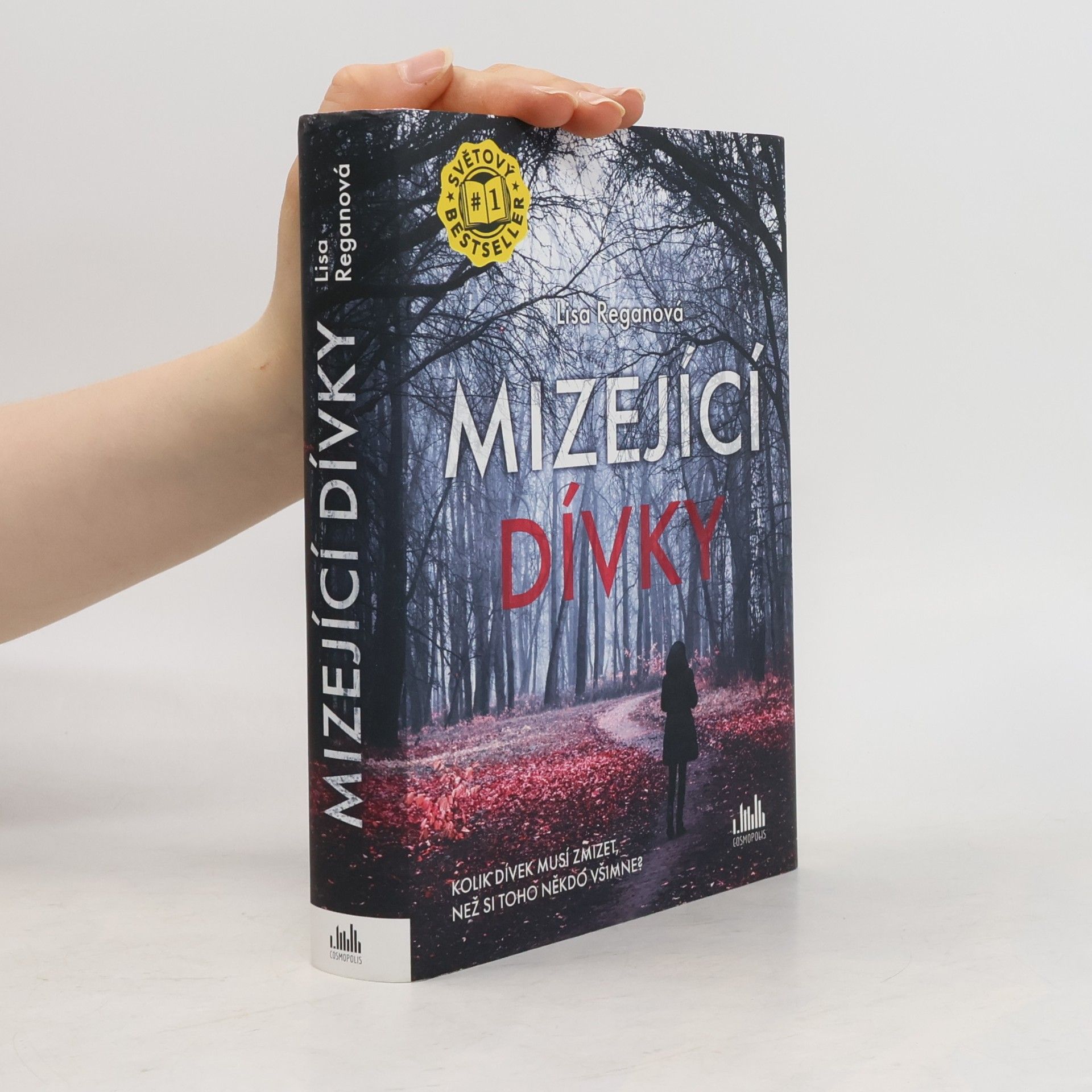 Lisa Regan Mizející dívky
