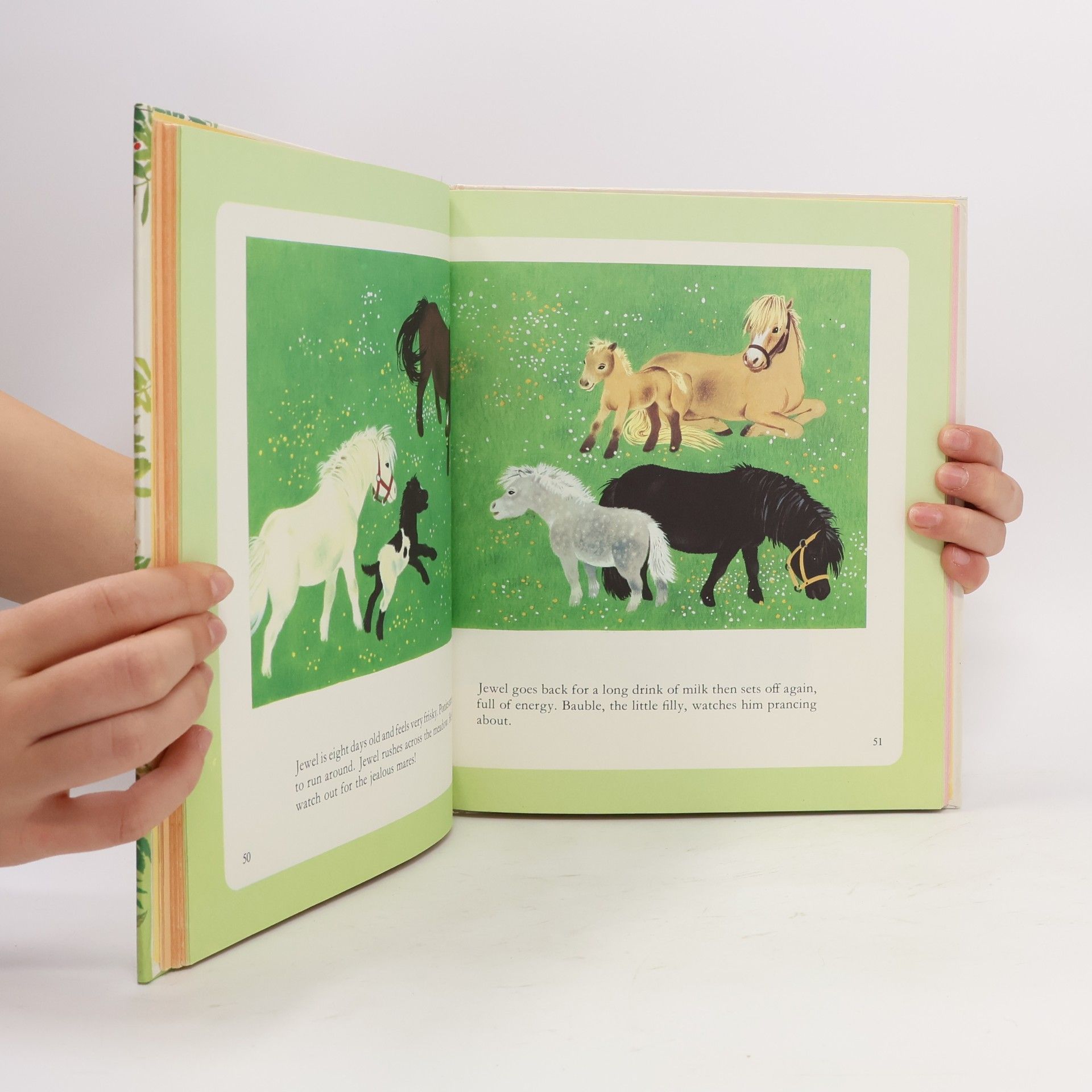 Gerda Muller My Little Animal Friends at Home