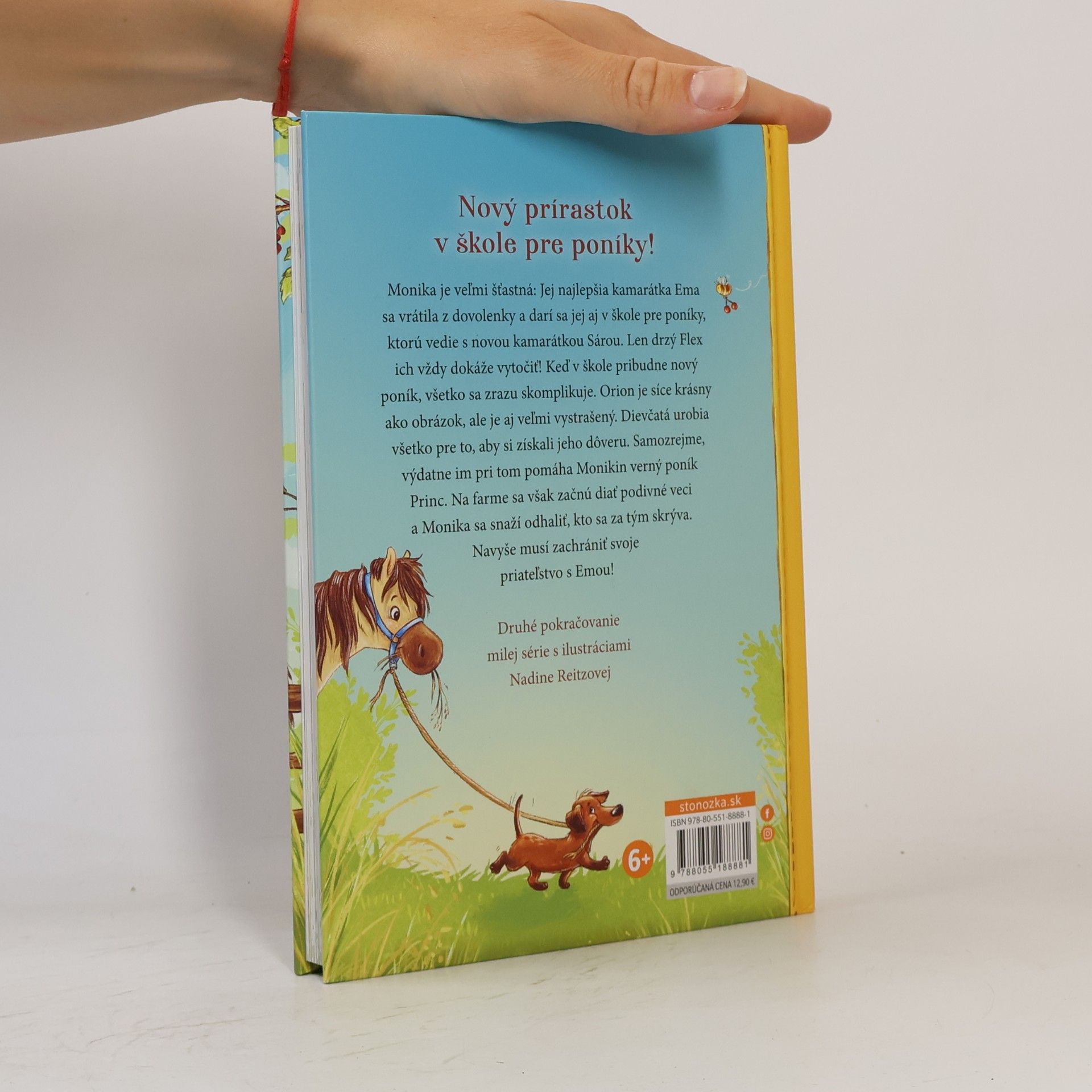 Anne Wolff Škola pre poníky 2. Starosti s vystrašeným poníkom