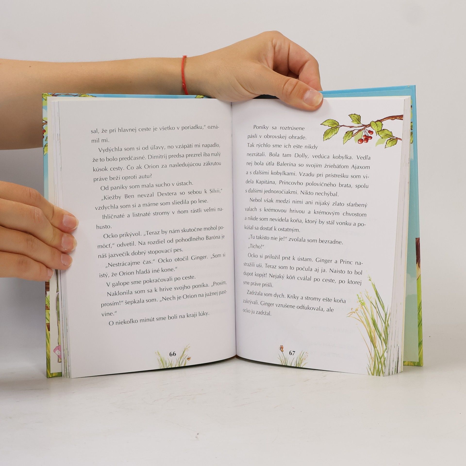 Anne Wolff Škola pre poníky 2. Starosti s vystrašeným poníkom