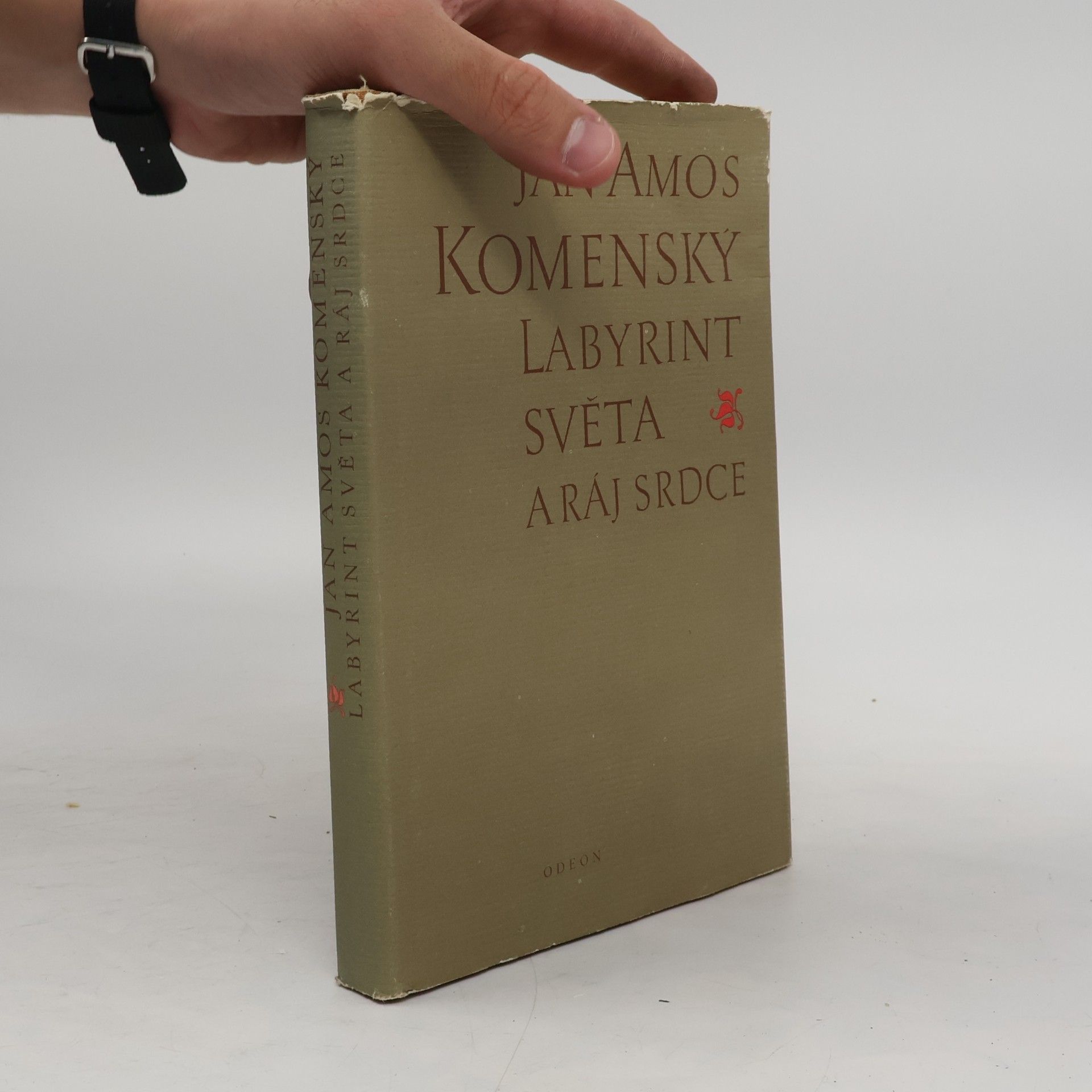Jan Amos Komenský Labyrint světa a ráj srdce