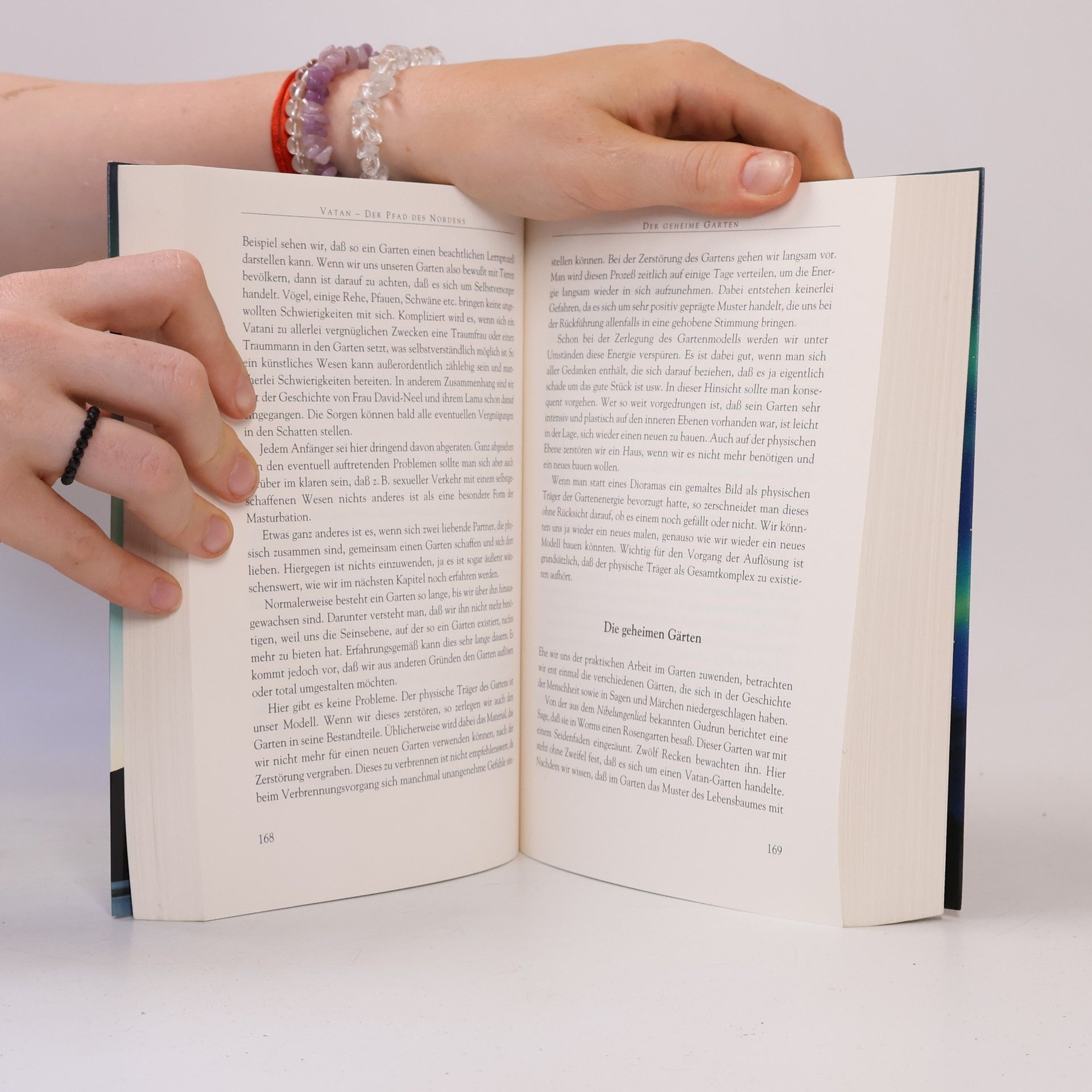 Edmund von Hollander Vatan - der Pfad des Nordens