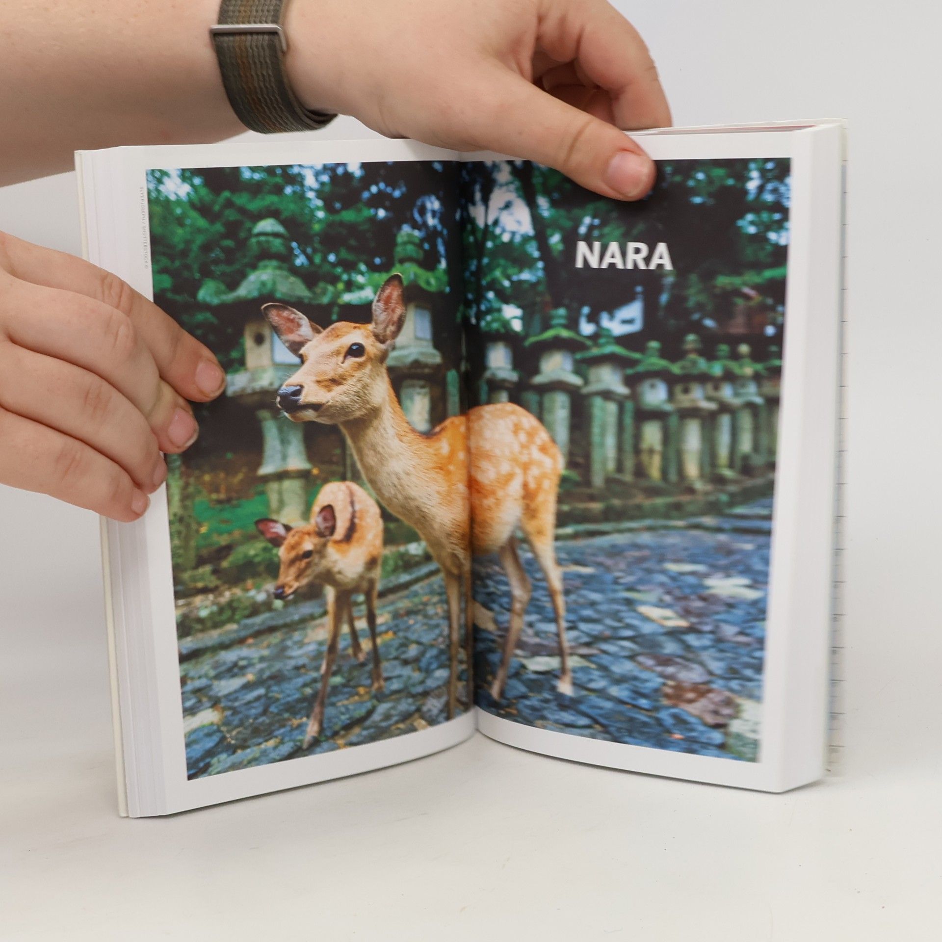 Autorenkollektiv Lonely Planet's Best of Japan