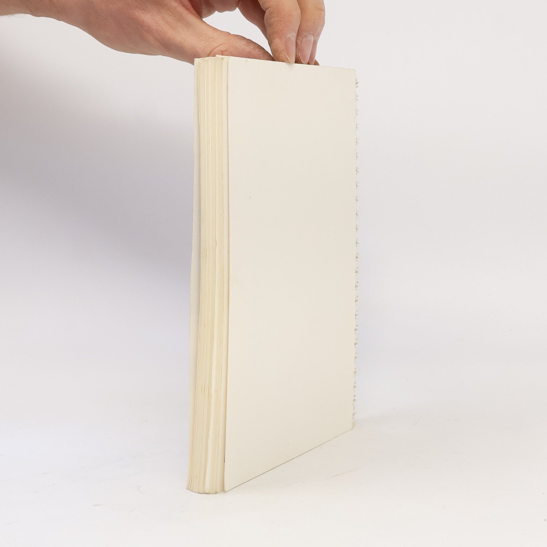 kolektiv Schwabthaler Kochbuch