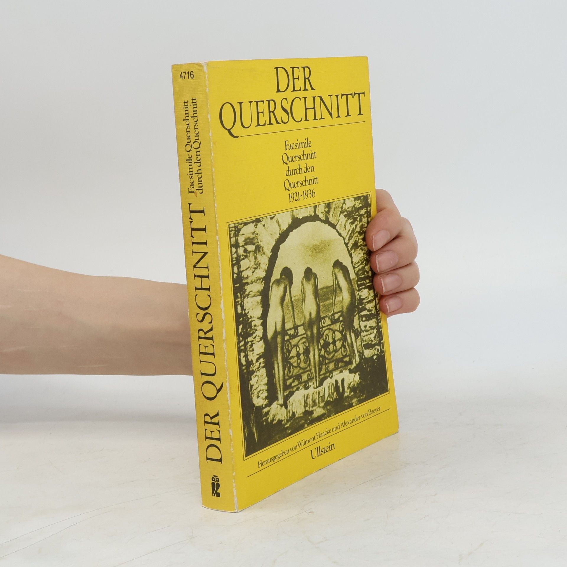 Der Querschnitt