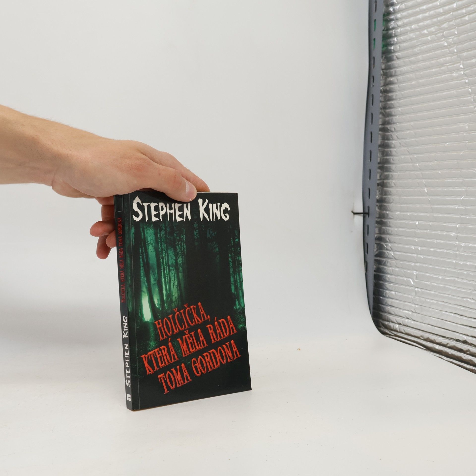 Stephen King Holčička, která měla ráda Toma Gordona
