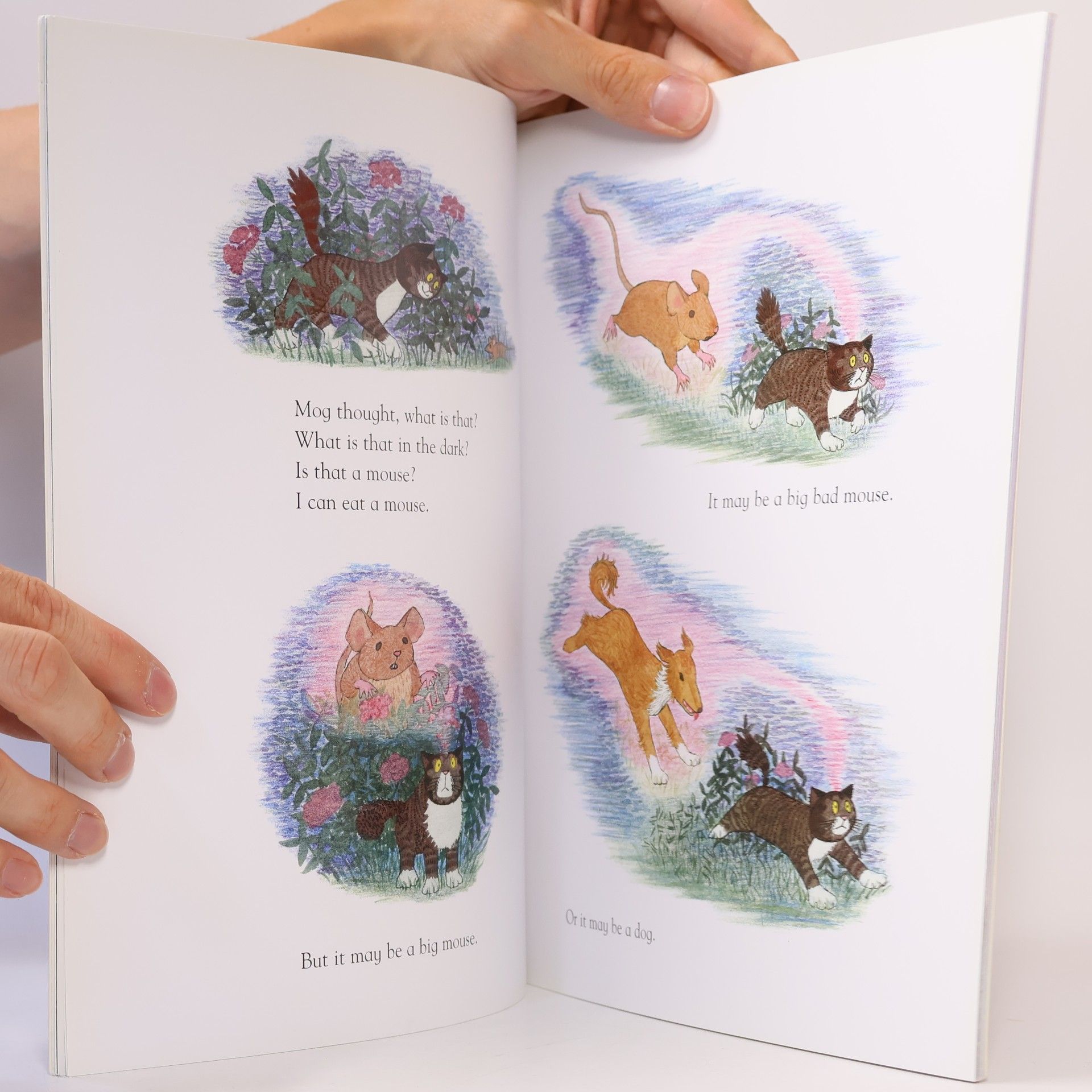 Judith Kerr Mog in the Dark