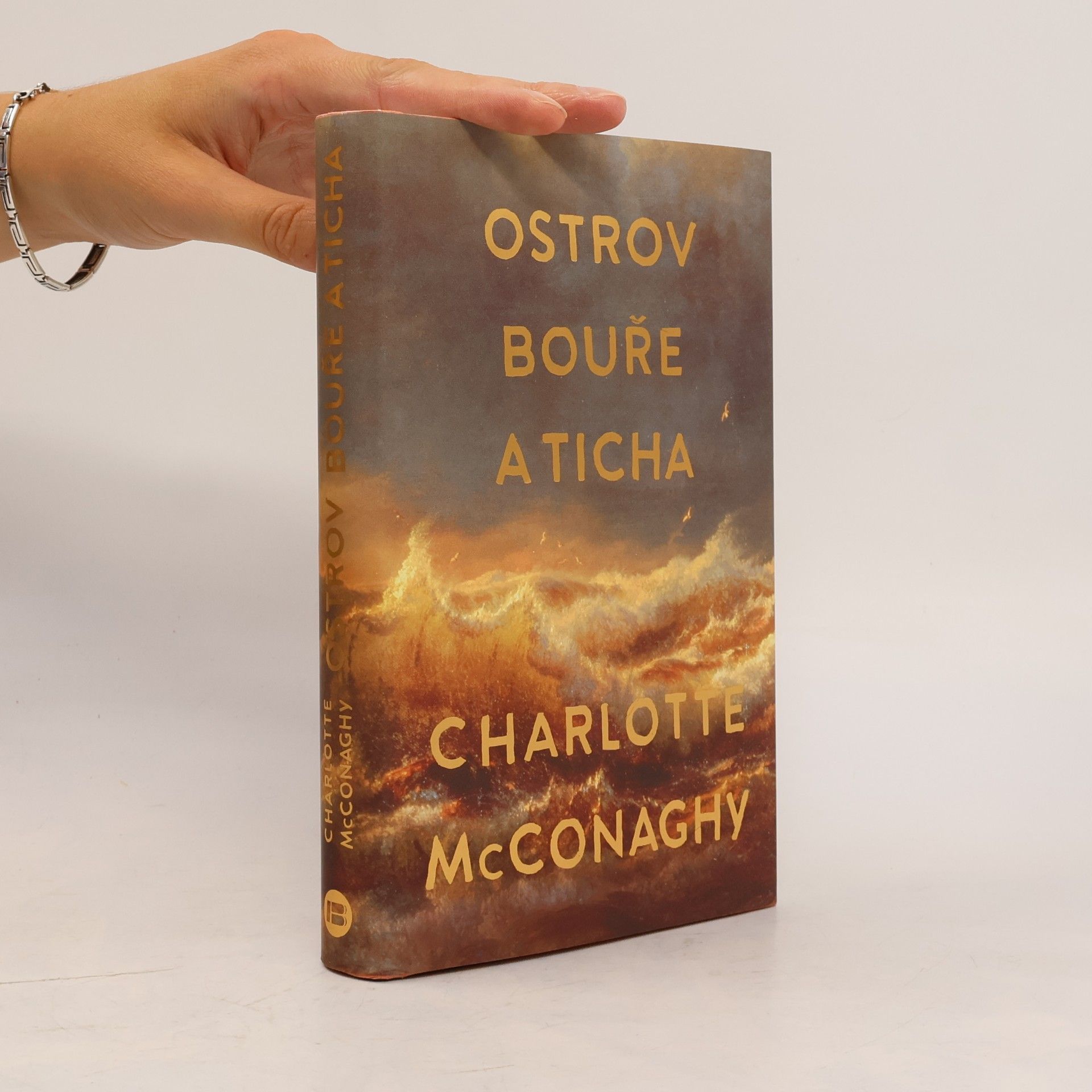 CHARLOTTE. MCCONAGHY Ostrov bouře a ticha
