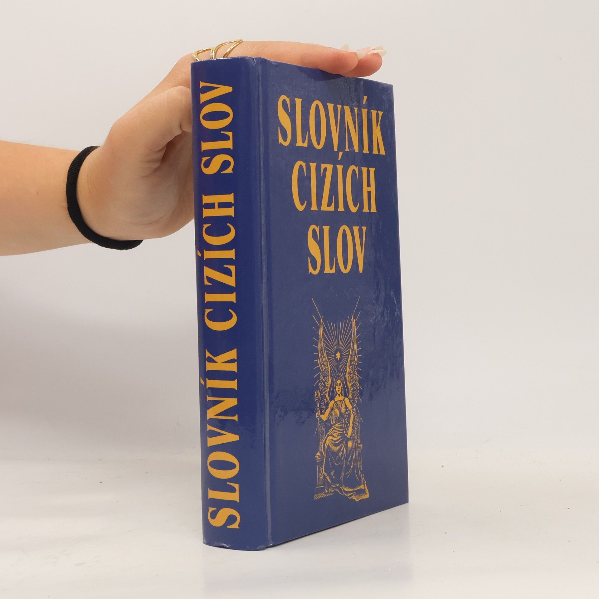Kolektív autorov Slovník cizích slov