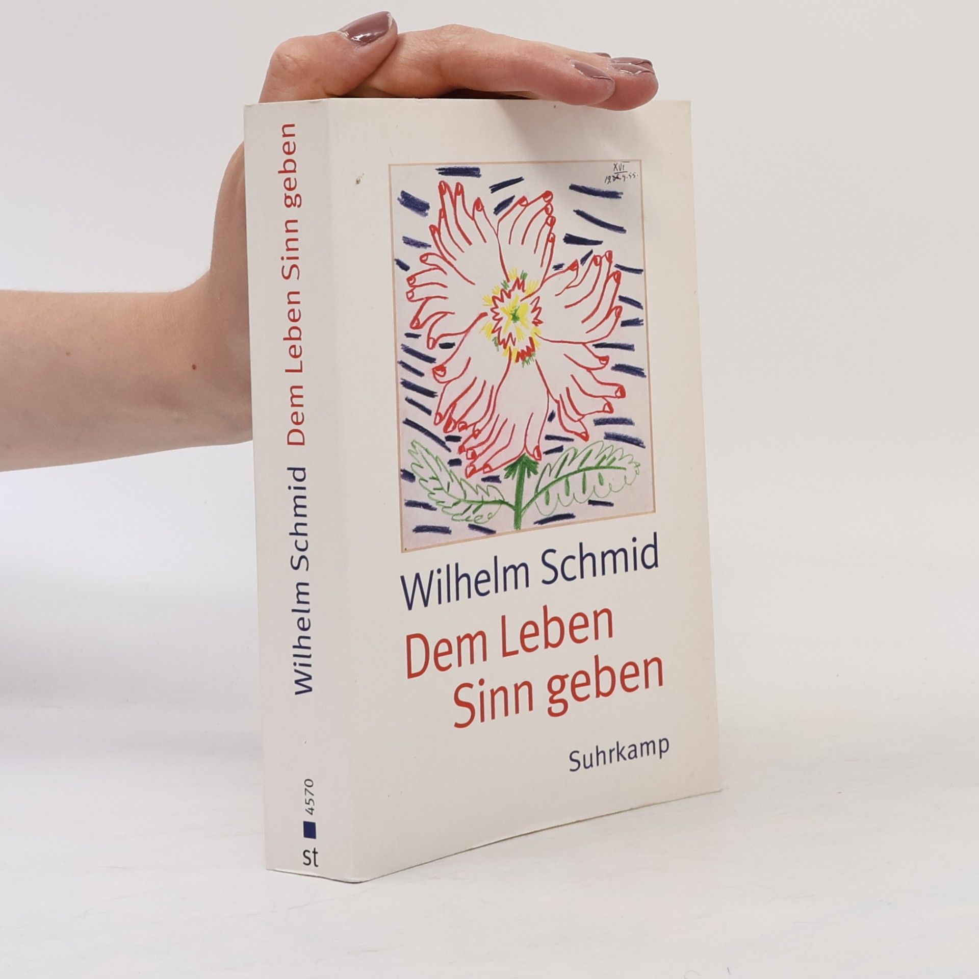 Wilhelm Schmidt-Thomé Dem Leben Sinn geben