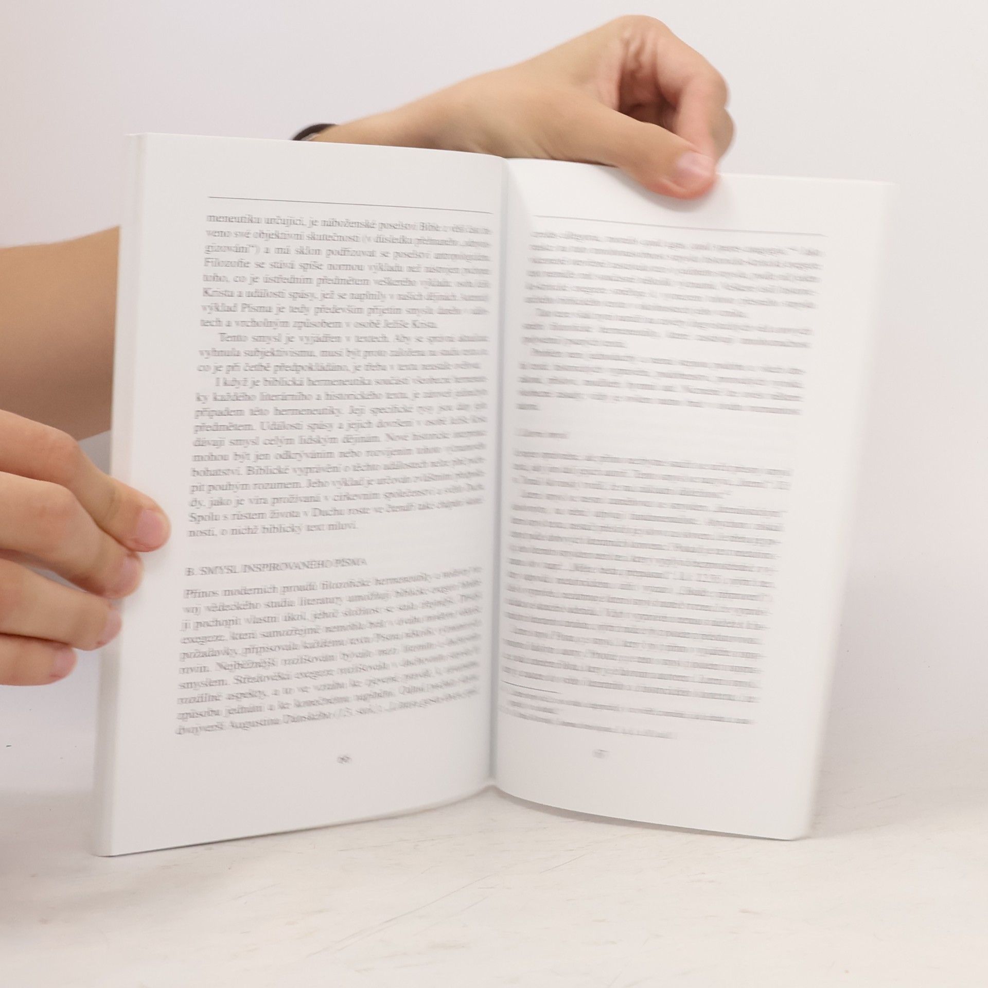 Papežská biblická komise Výklad Bible v církvi