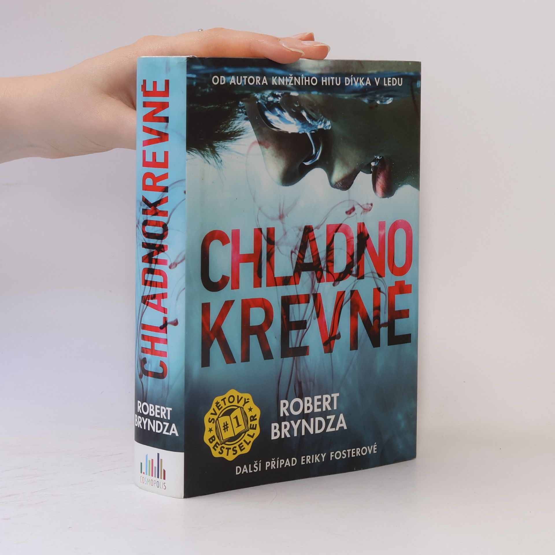 Robert Bryndza Chladnokrevně