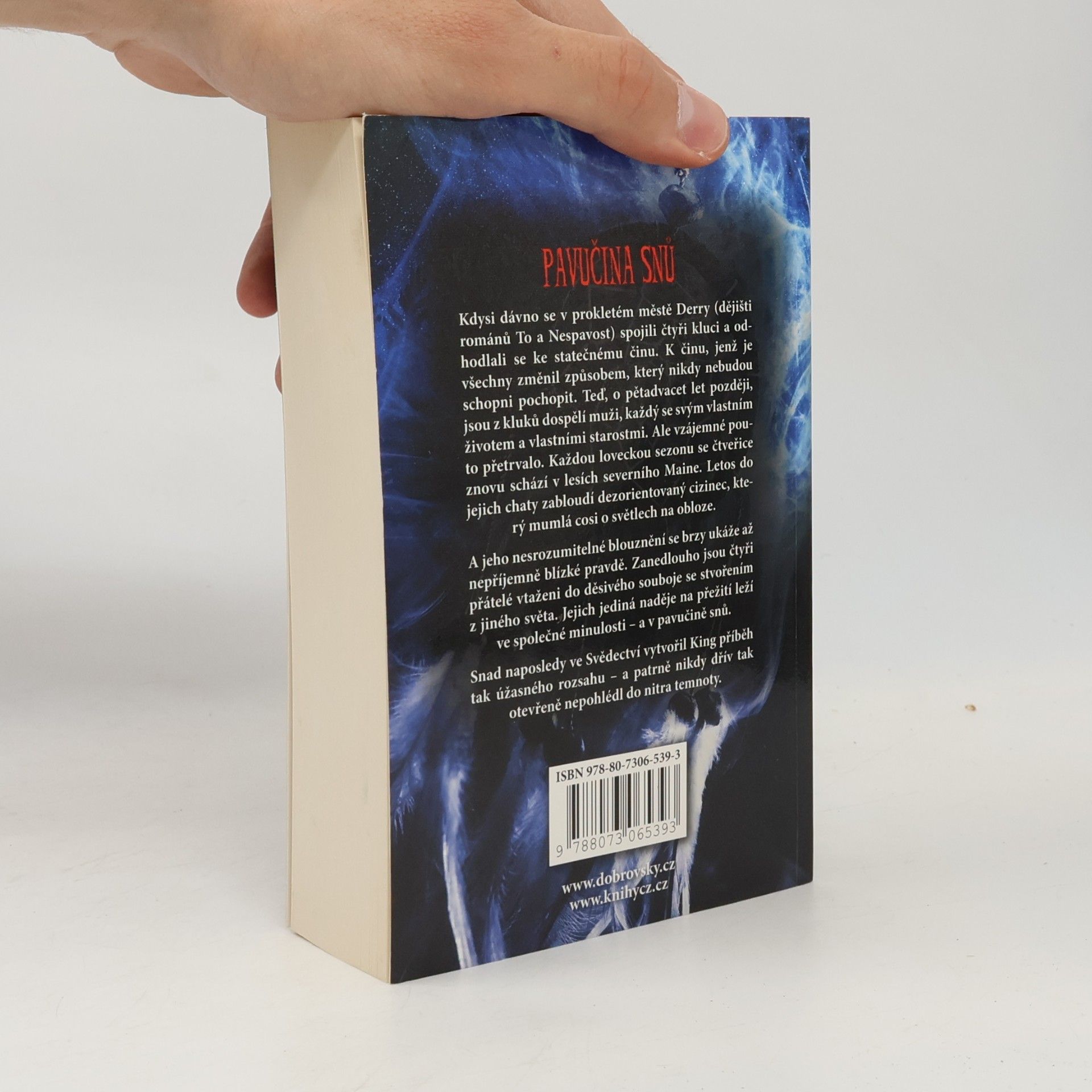Stephen King Pavučina snů