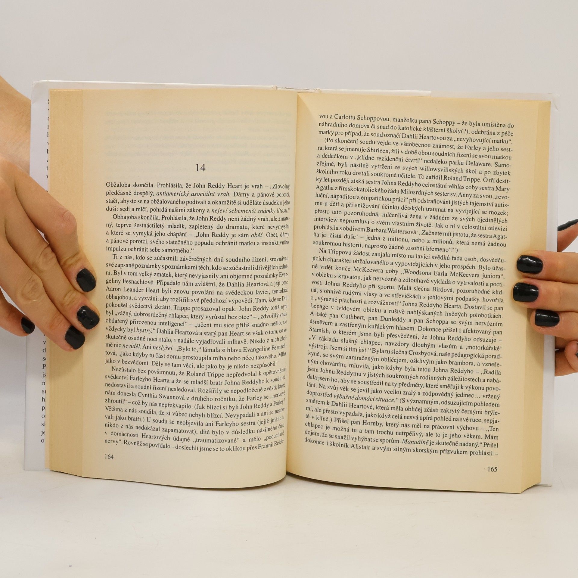 Joyce Carol Oates Americká balada