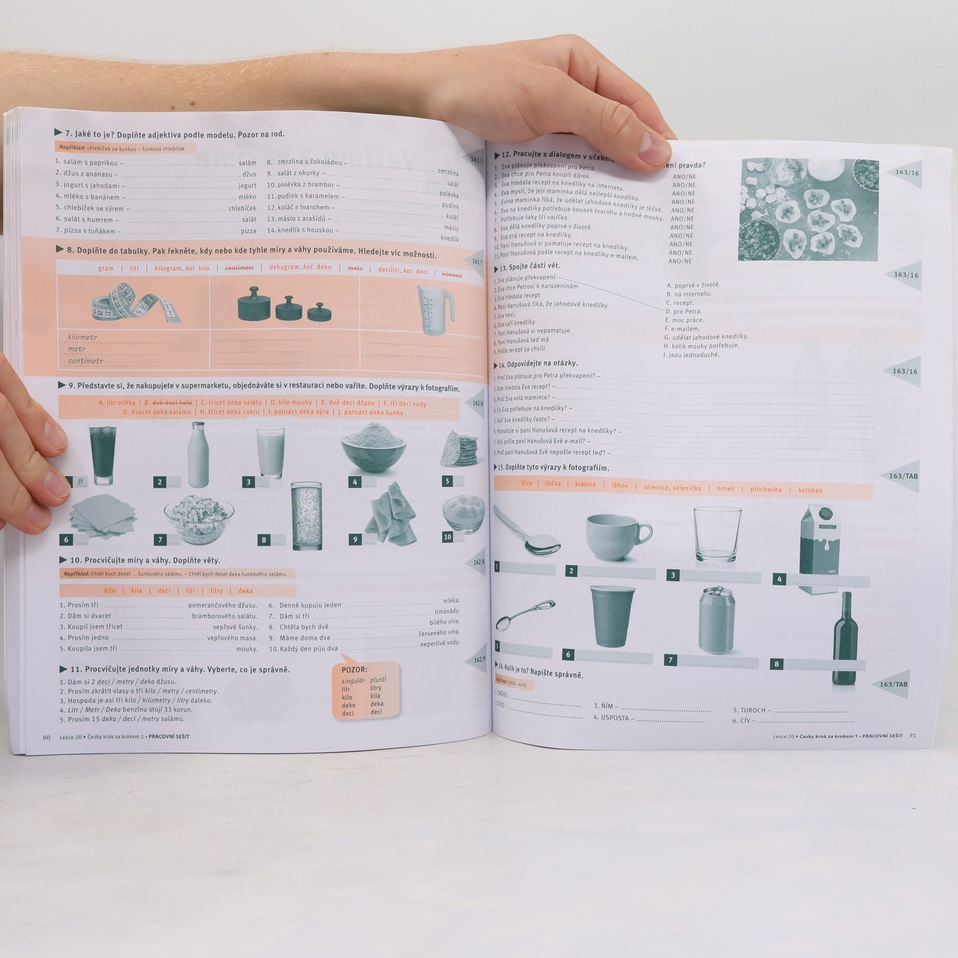 Lída Holá Česky krok za krokem 1. A1-A2. Pracovní sešit 13–24