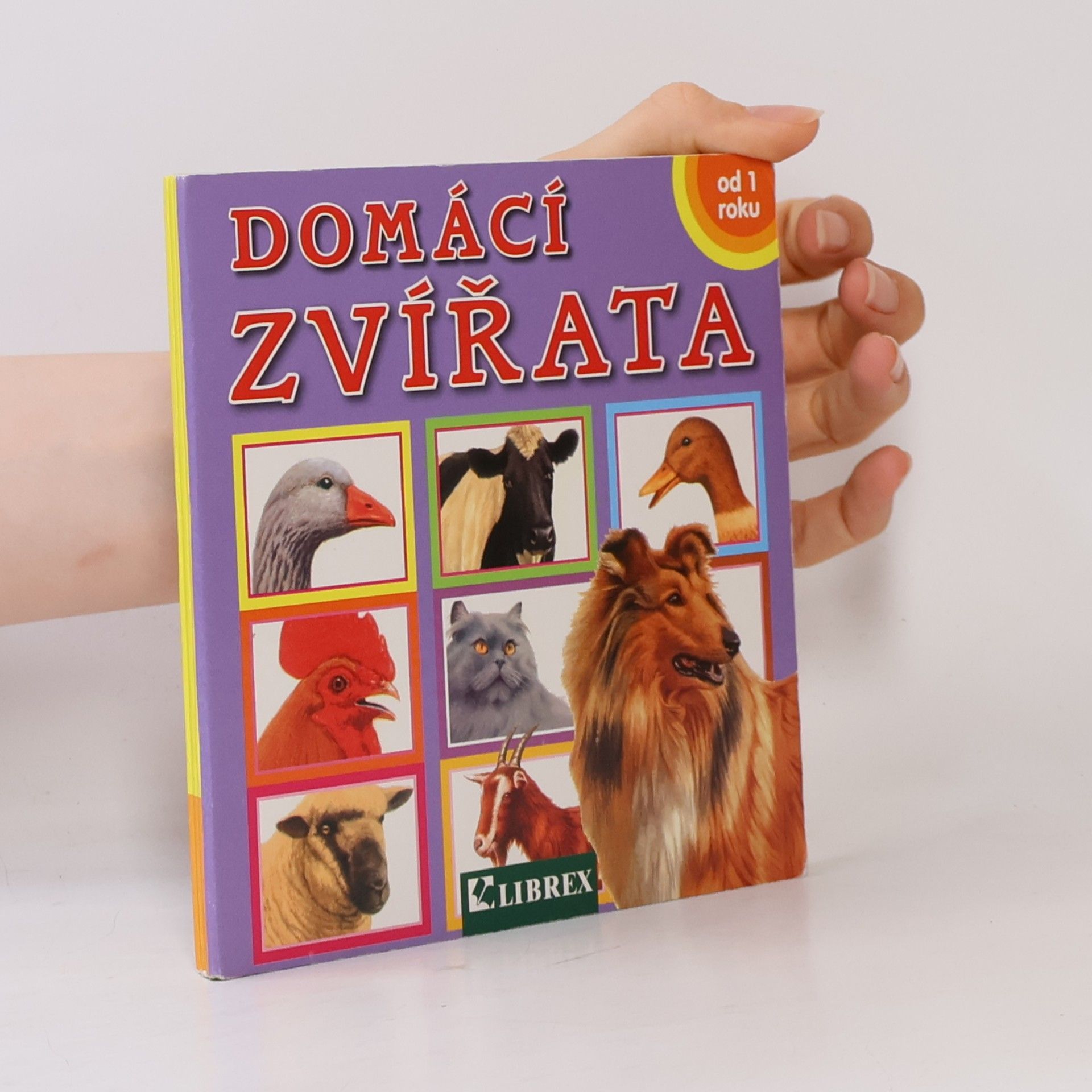 Autorenkollektiv Domácí zvířata