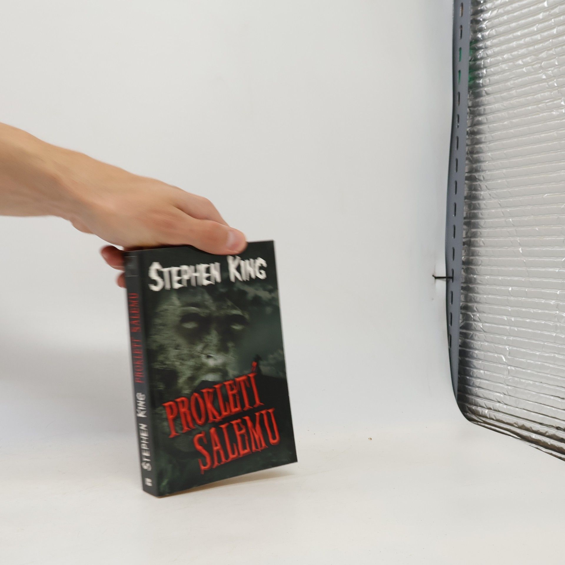 Stephen King Prokletí Salemu