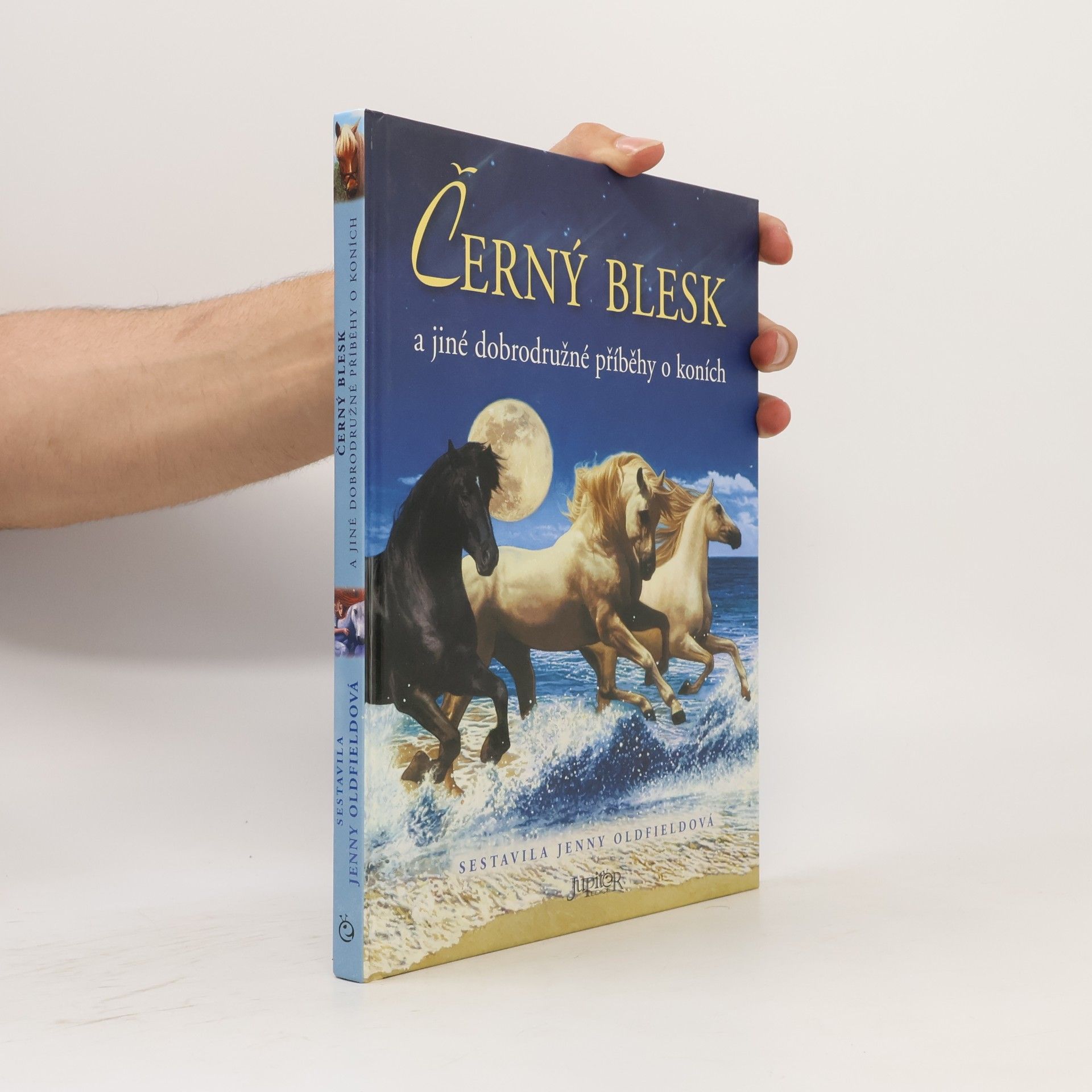 Jenny Oldfield Černý blesk a jiné dobrodružné příběhy o koních