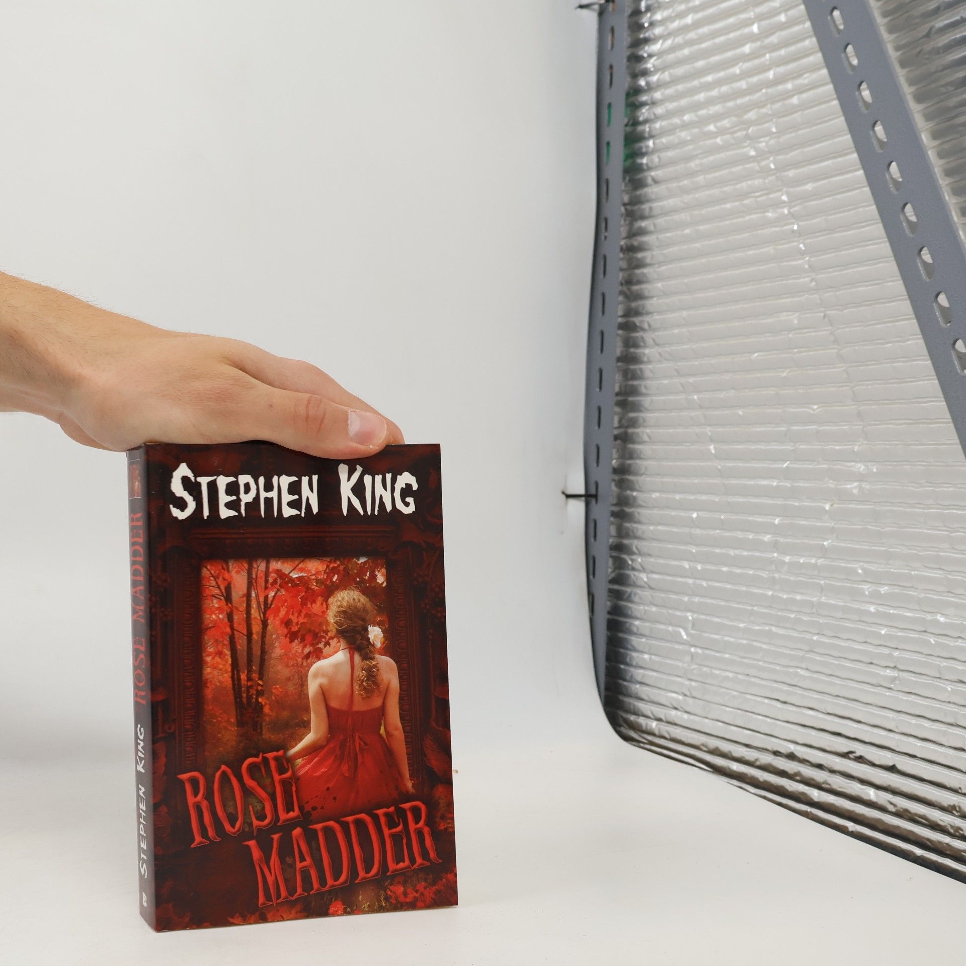 Stephen King Rose Madder