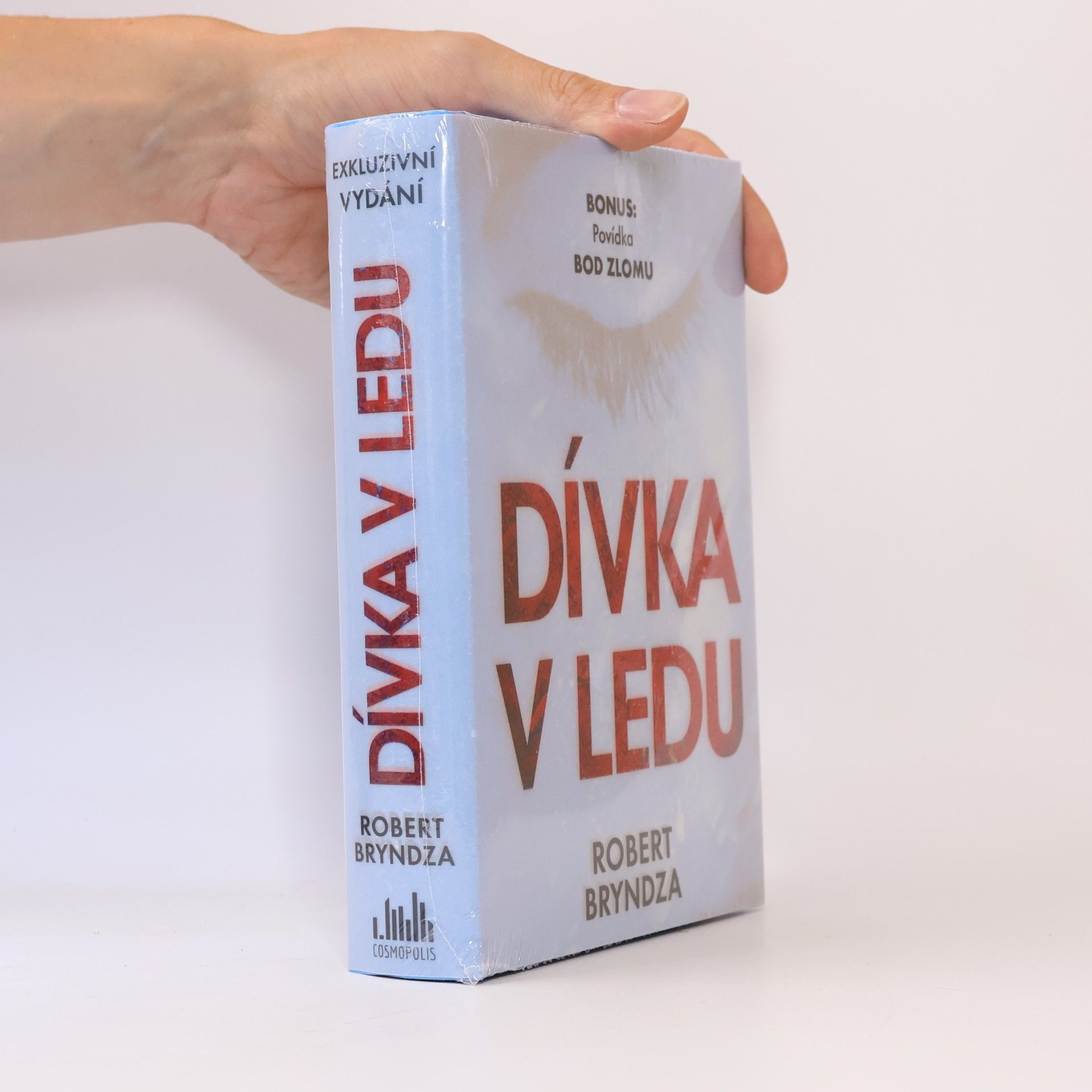 Robert Bryndza Dívka v ledu