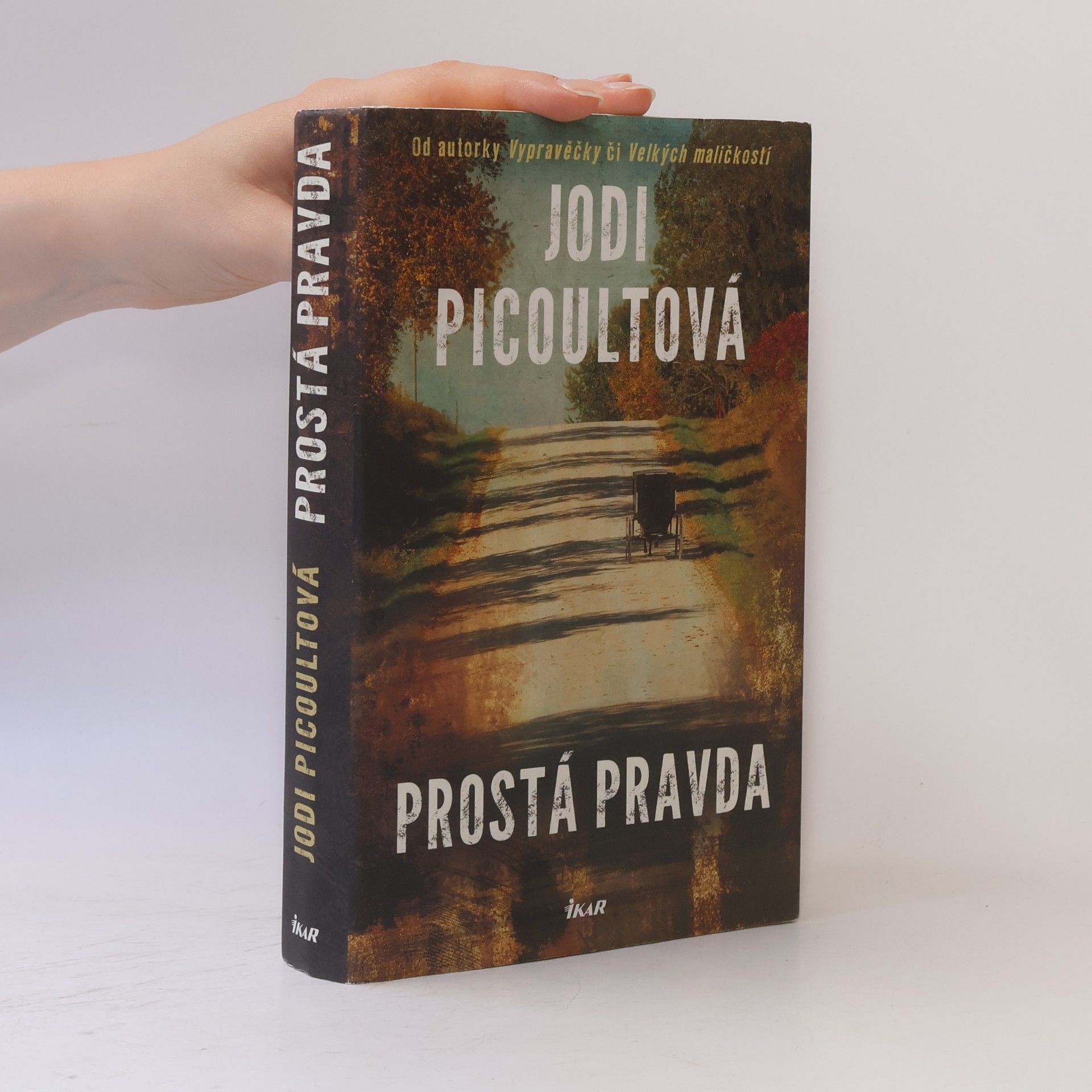 Jodi Picoult Prostá pravda