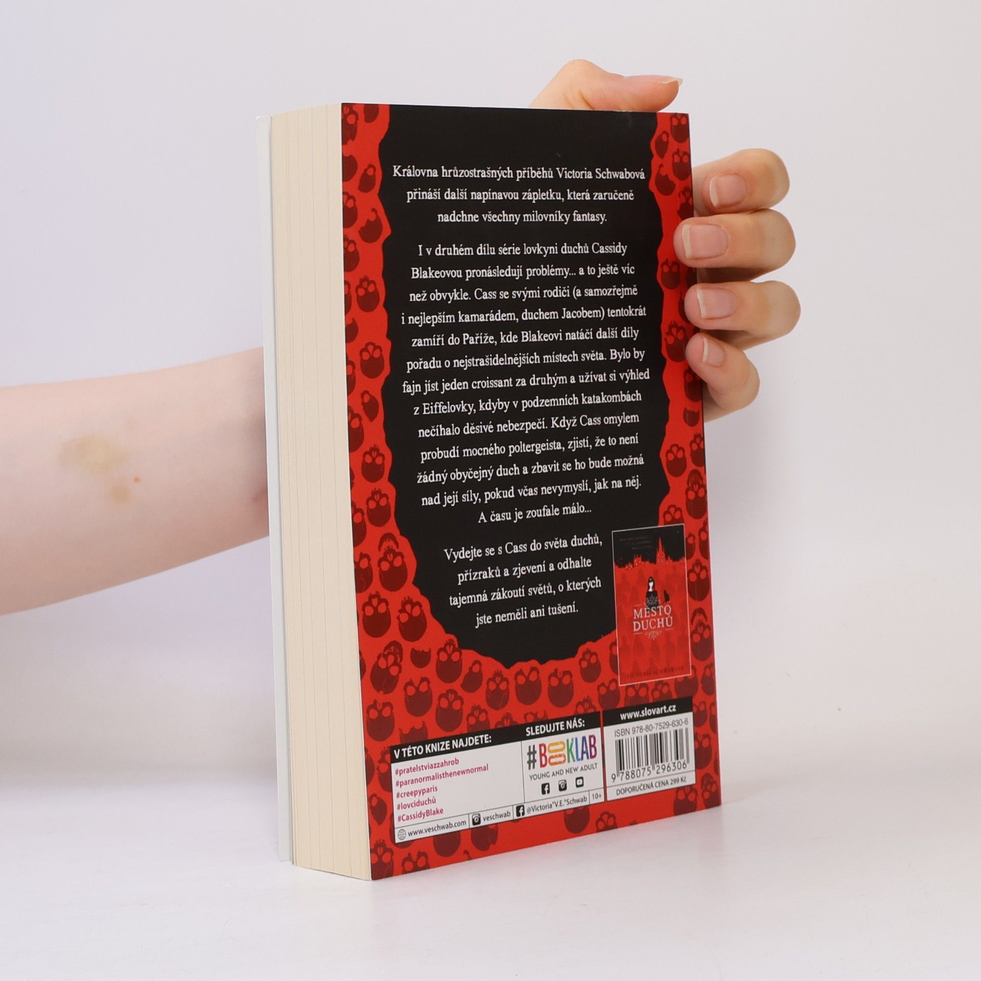 V. E. Schwab Tunel kostí