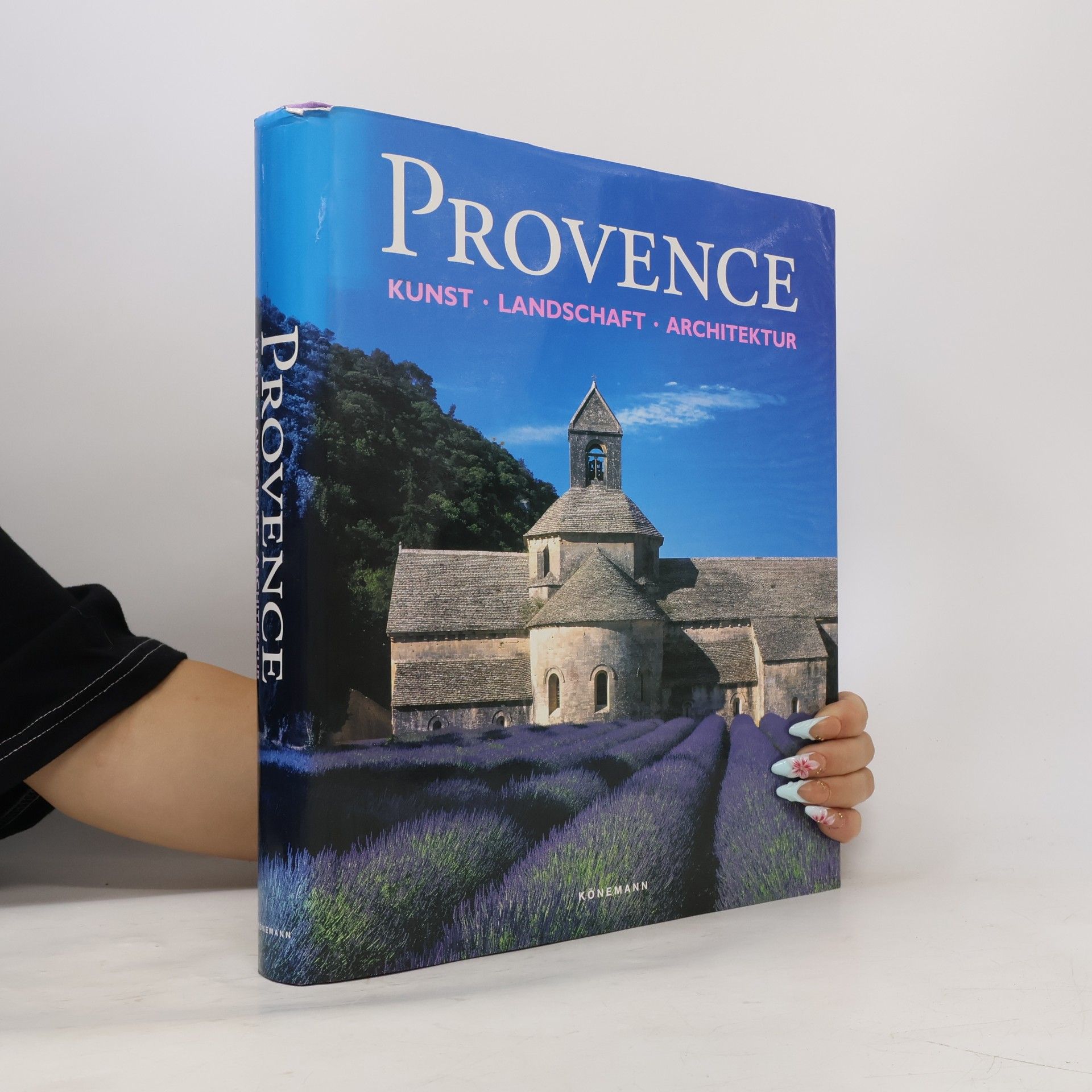 Christian Freigang Provence : Architektur, Kunst, Landschaft
