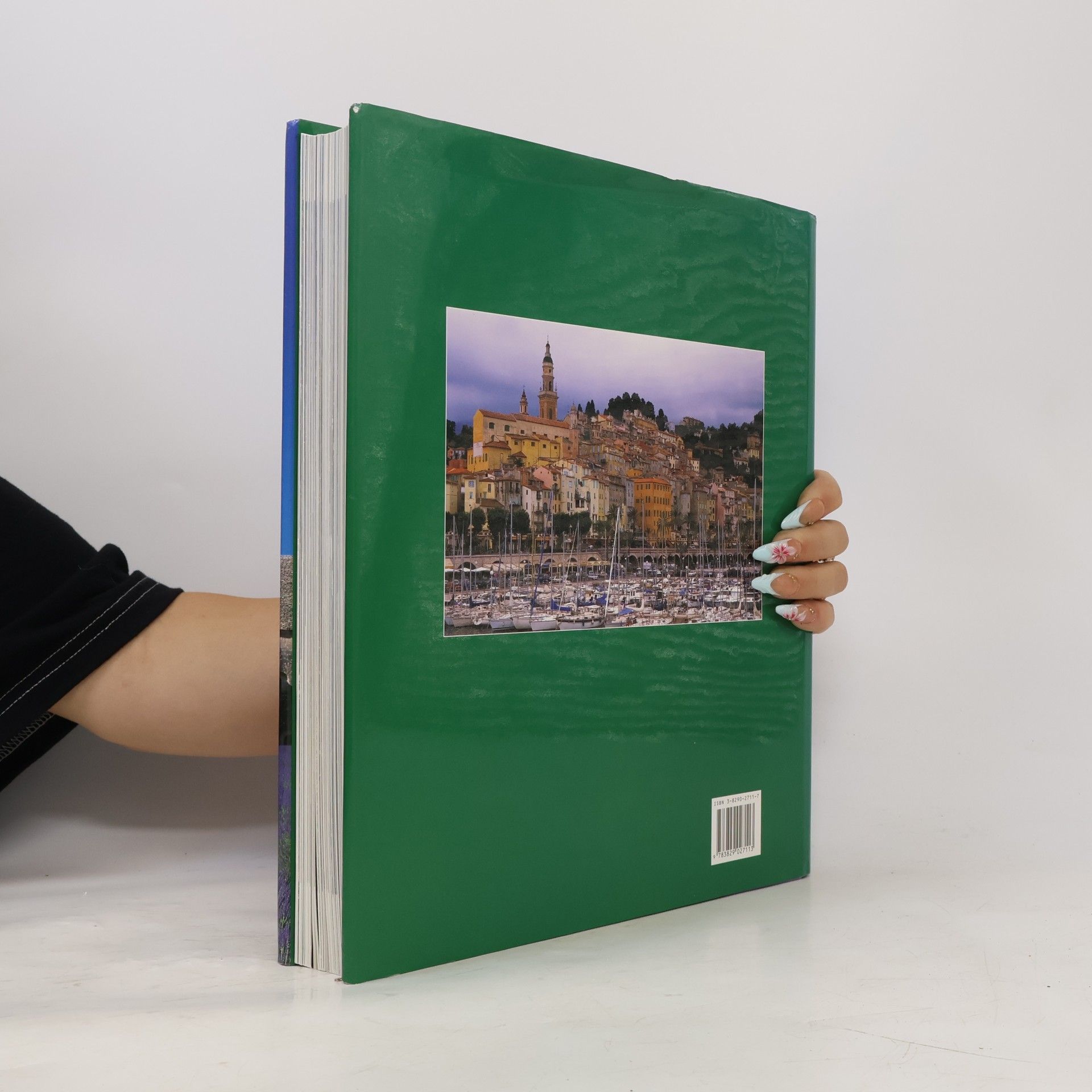 Christian Freigang Provence : Architektur, Kunst, Landschaft