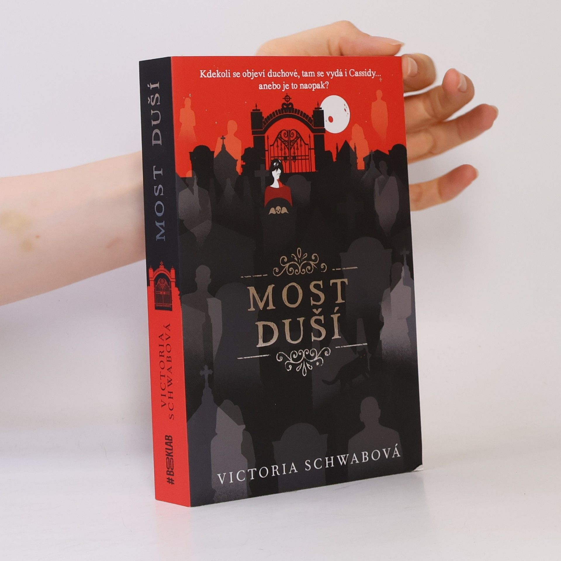 V. E. Schwab Most duší