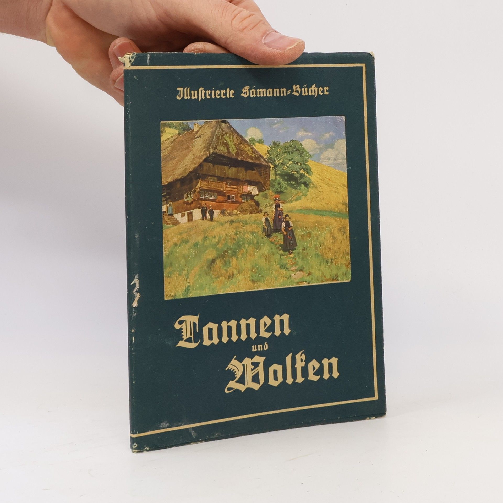 kolektiv Tannen und Wolfen