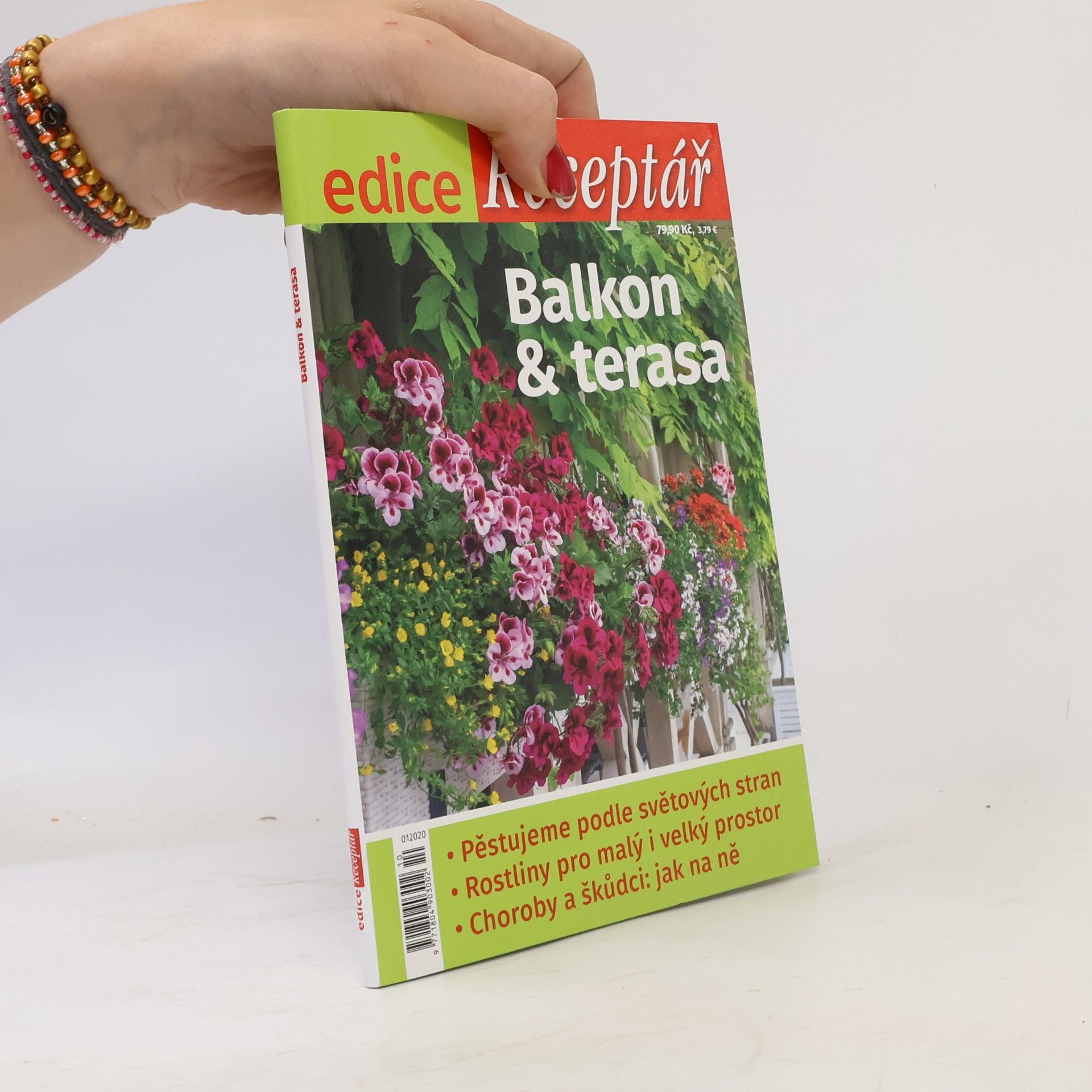 Kolektiv autorů Balkon & terasa