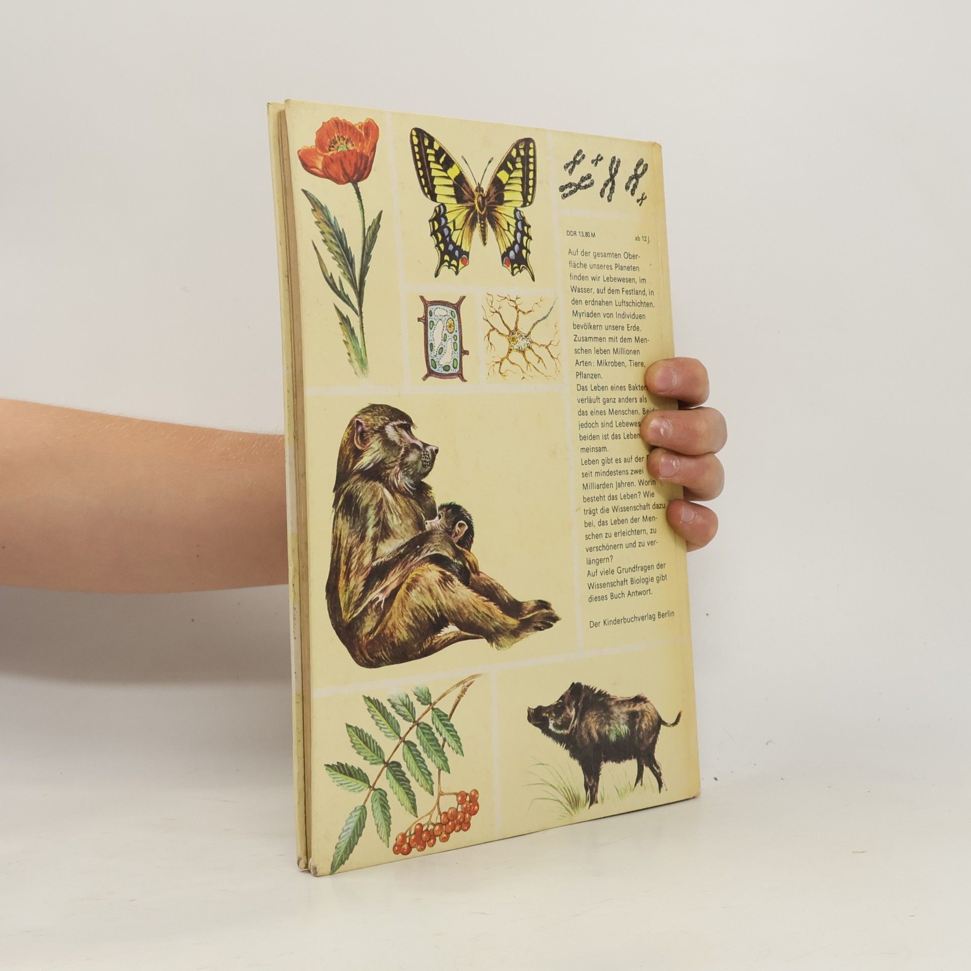 Georg A. Litsche Rund um die Biologie